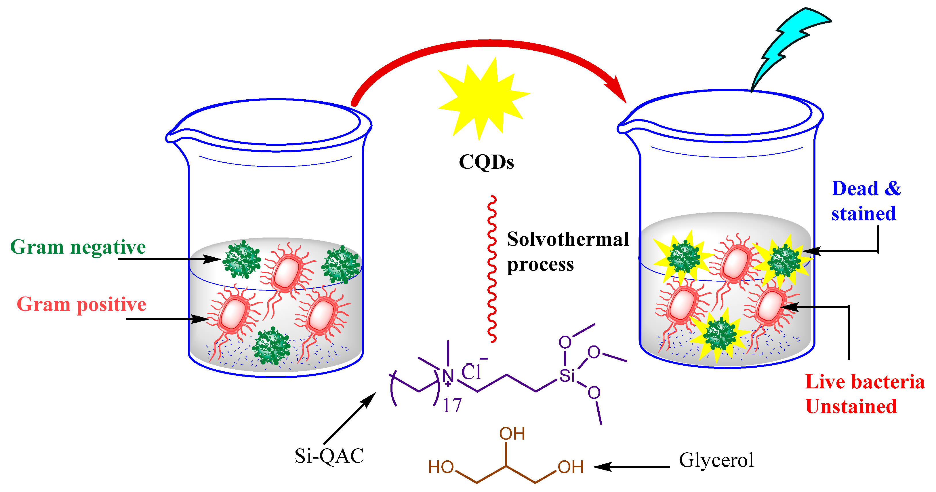 Processes 09 00388 g012