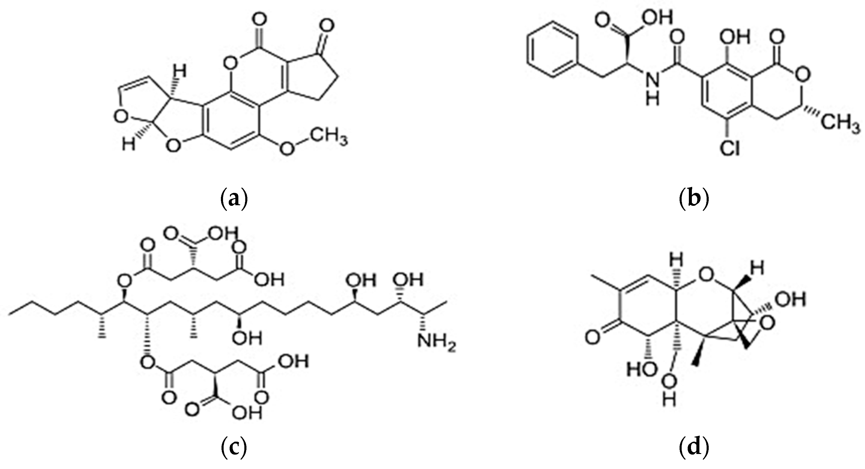 Processes 09 00392 g001