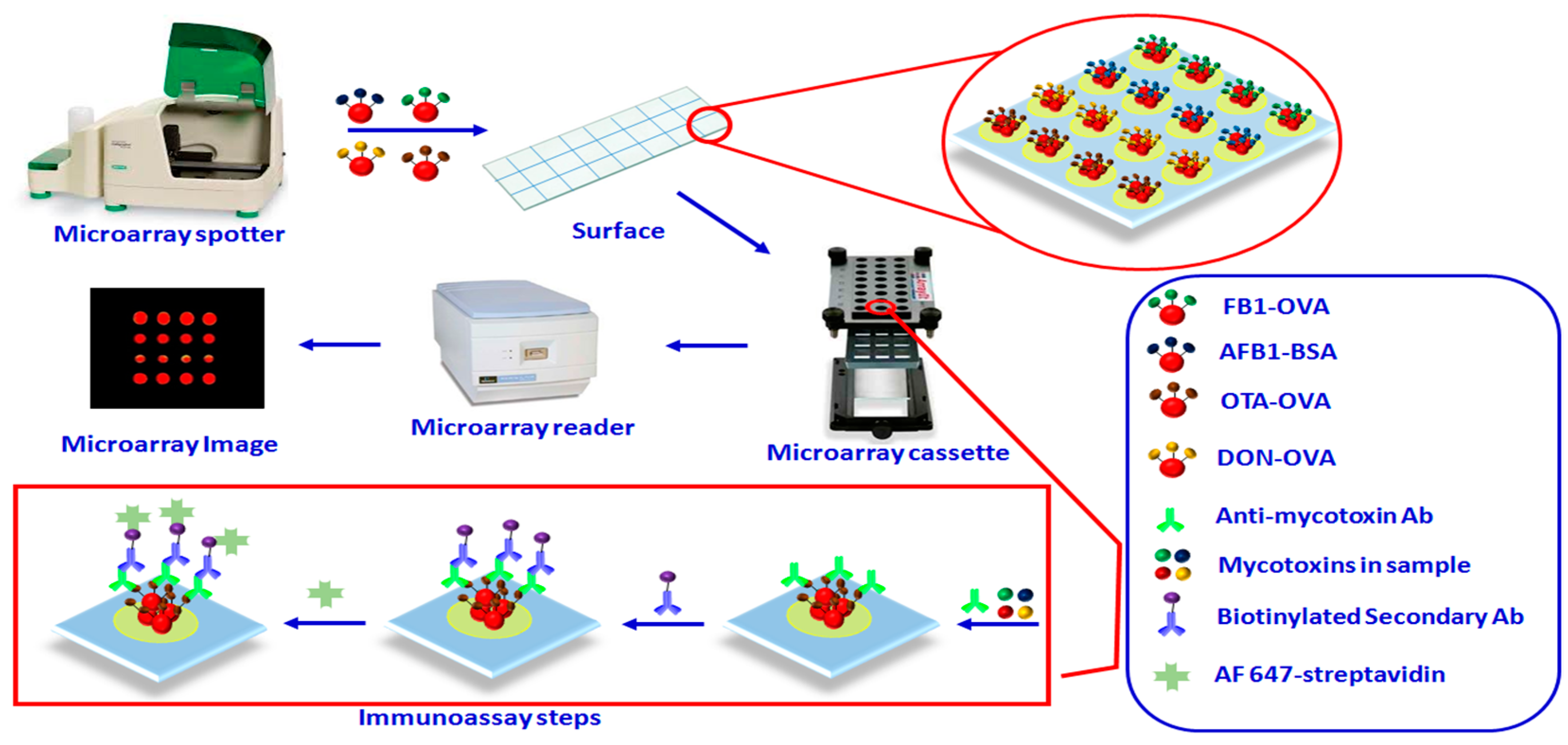 Processes 09 00392 g002