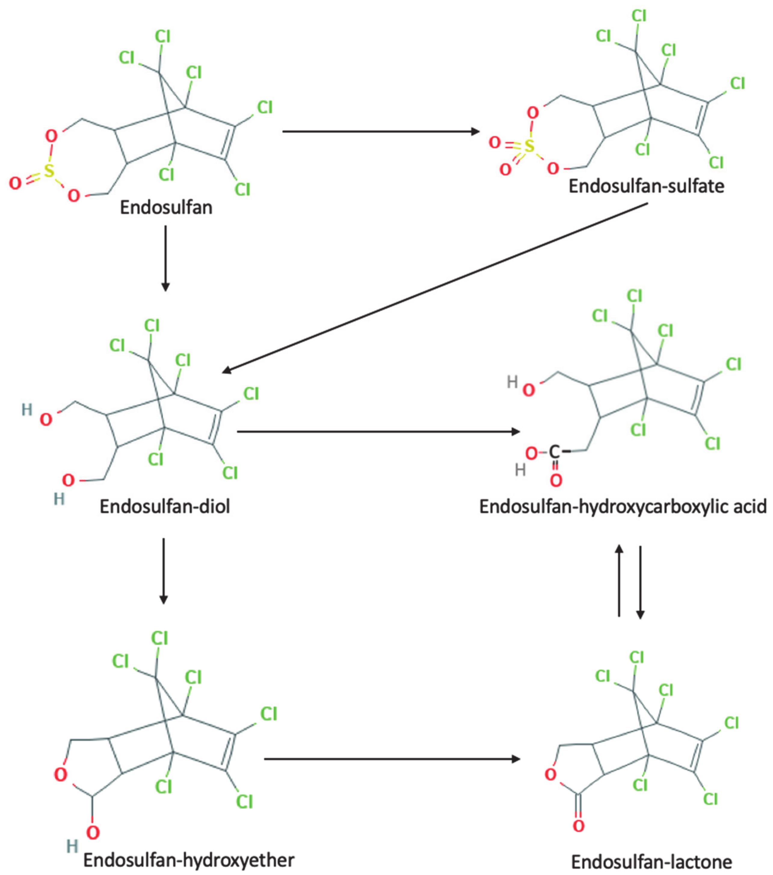 Processes 09 00396 g001