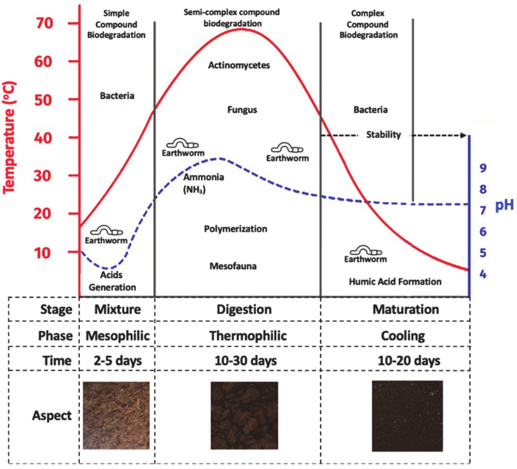 Processes 09 00396 g002