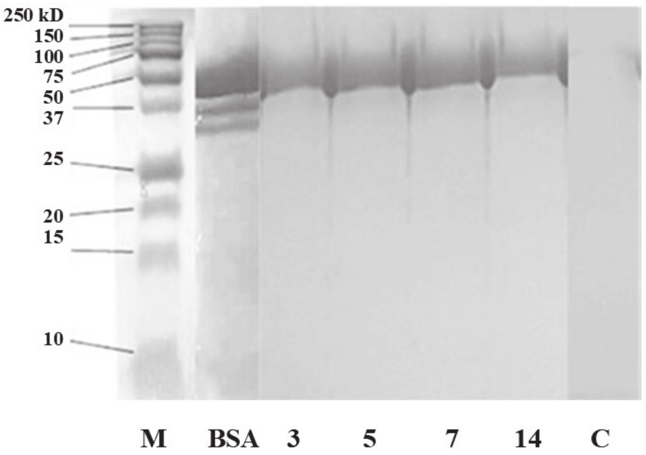 Processes 09 00396 g010