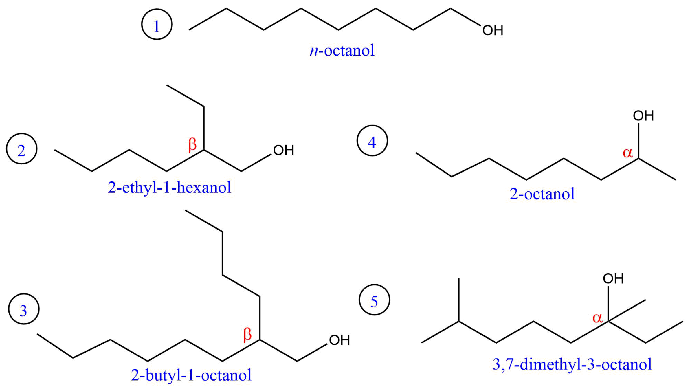 Processes 09 00398 g001