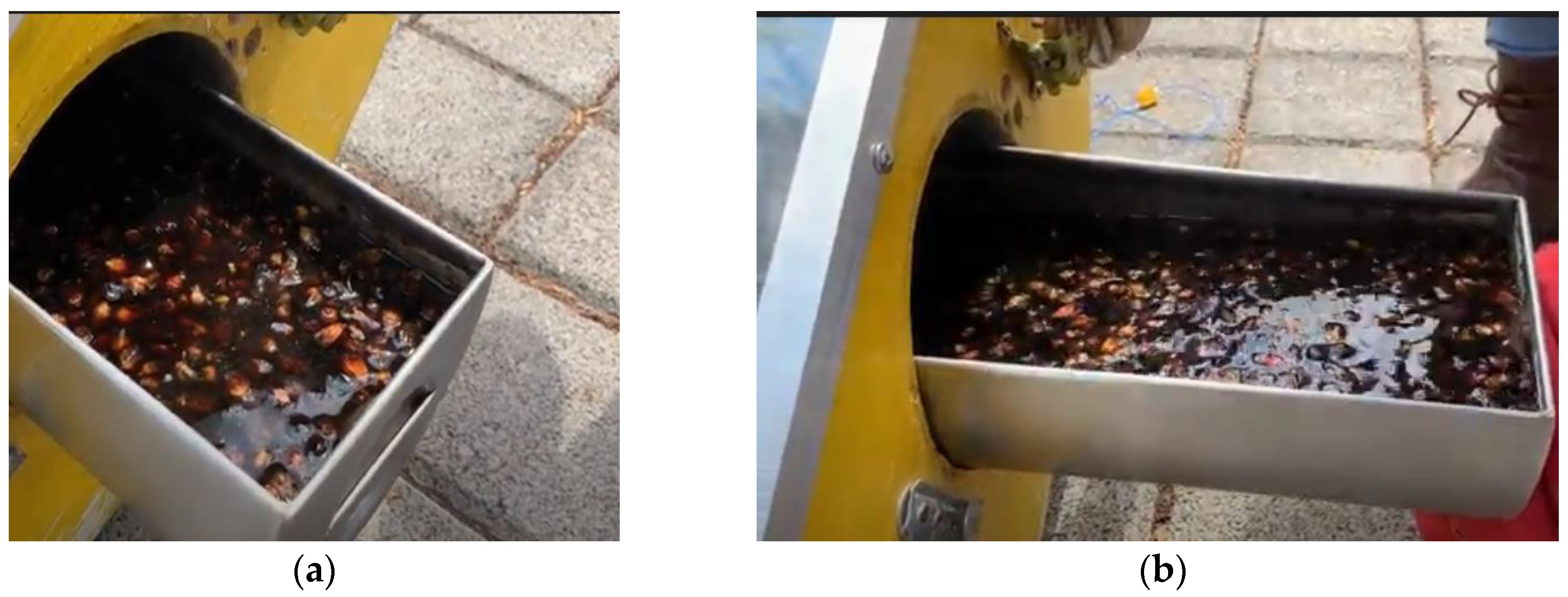 Processes 09 00401 g003