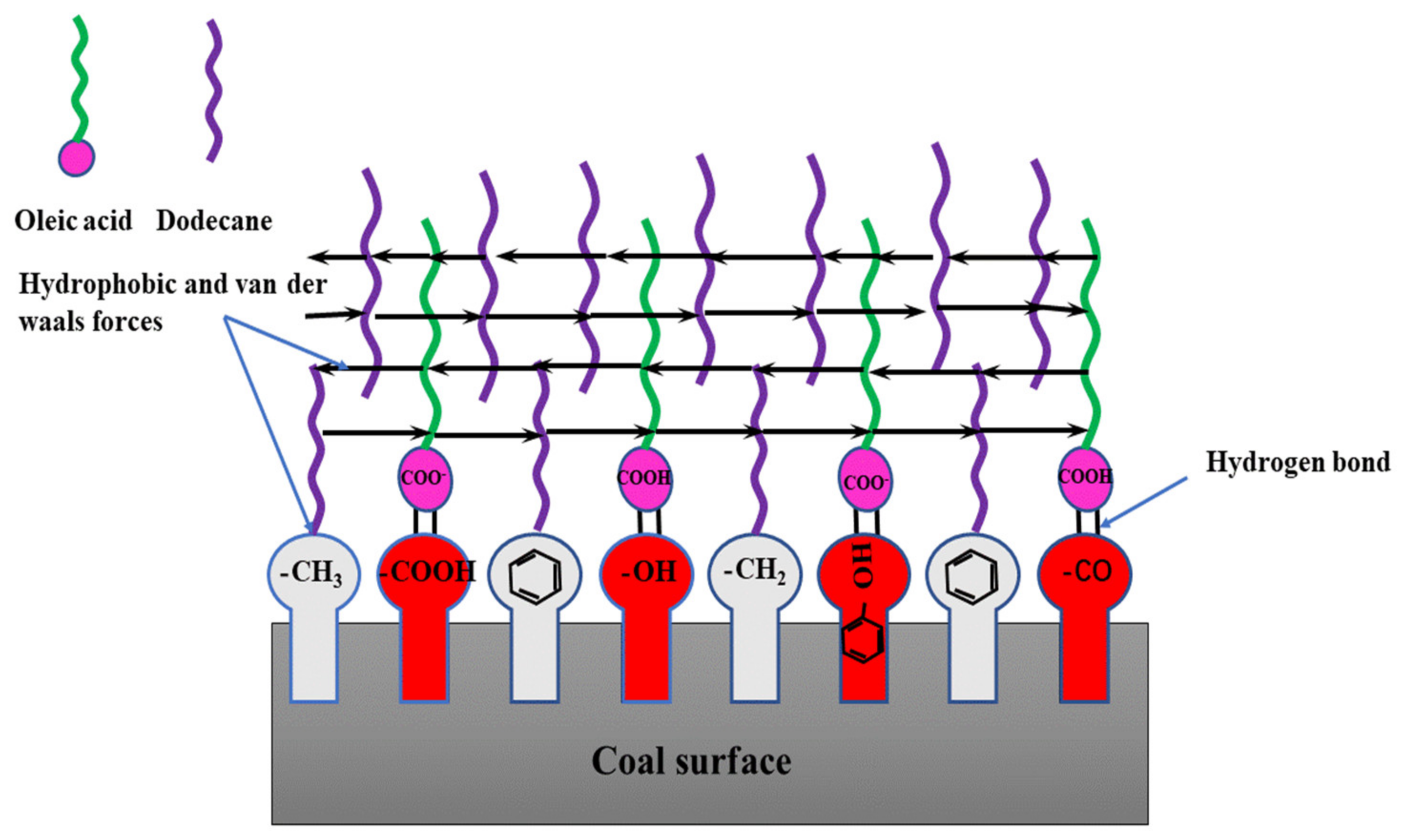 Processes 09 00404 g010