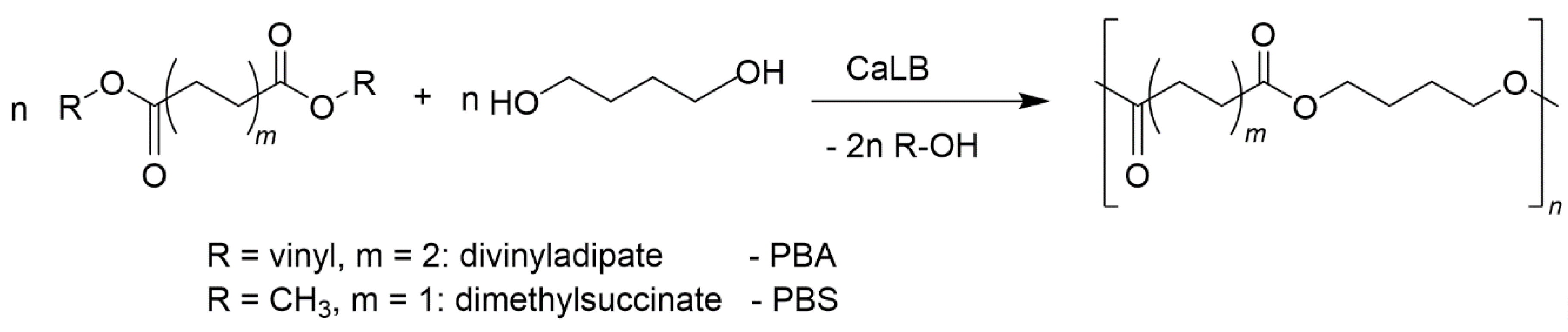 Processes 09 00411 g002