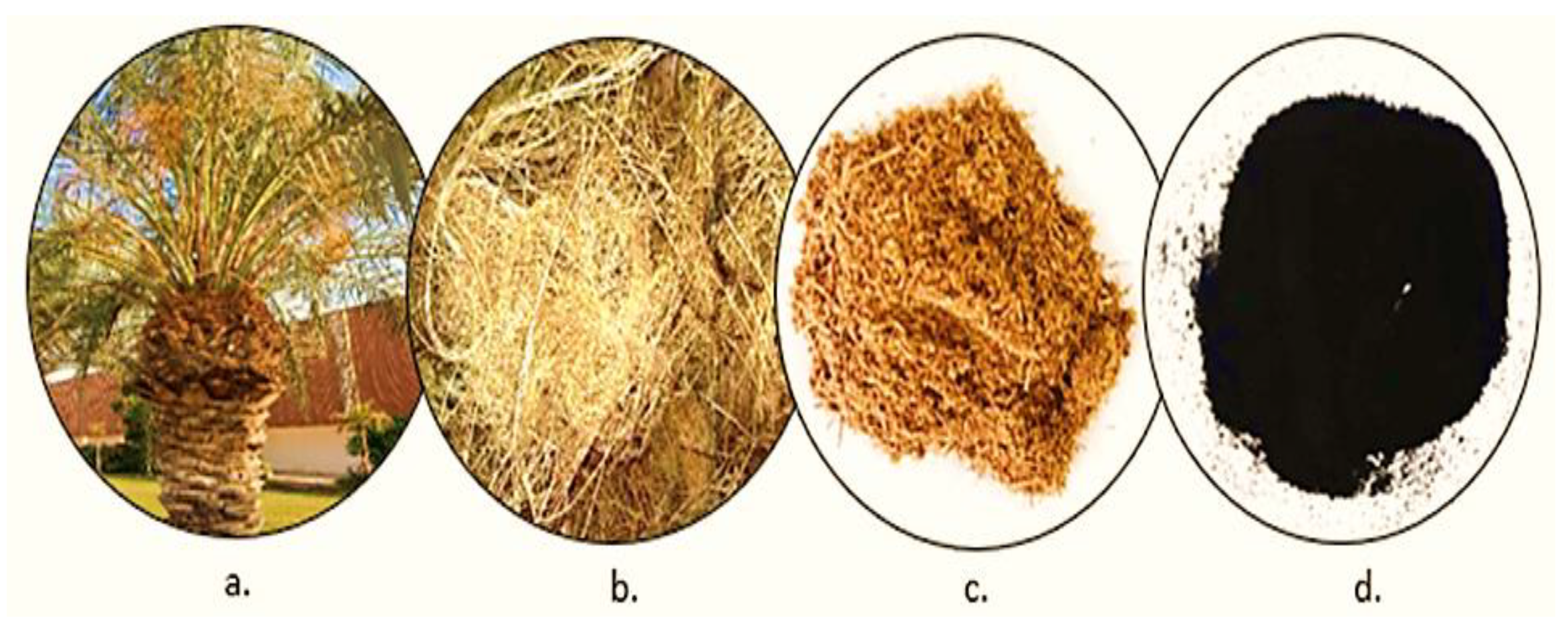 Processes 09 00416 g001 Processes 09 00416 g001