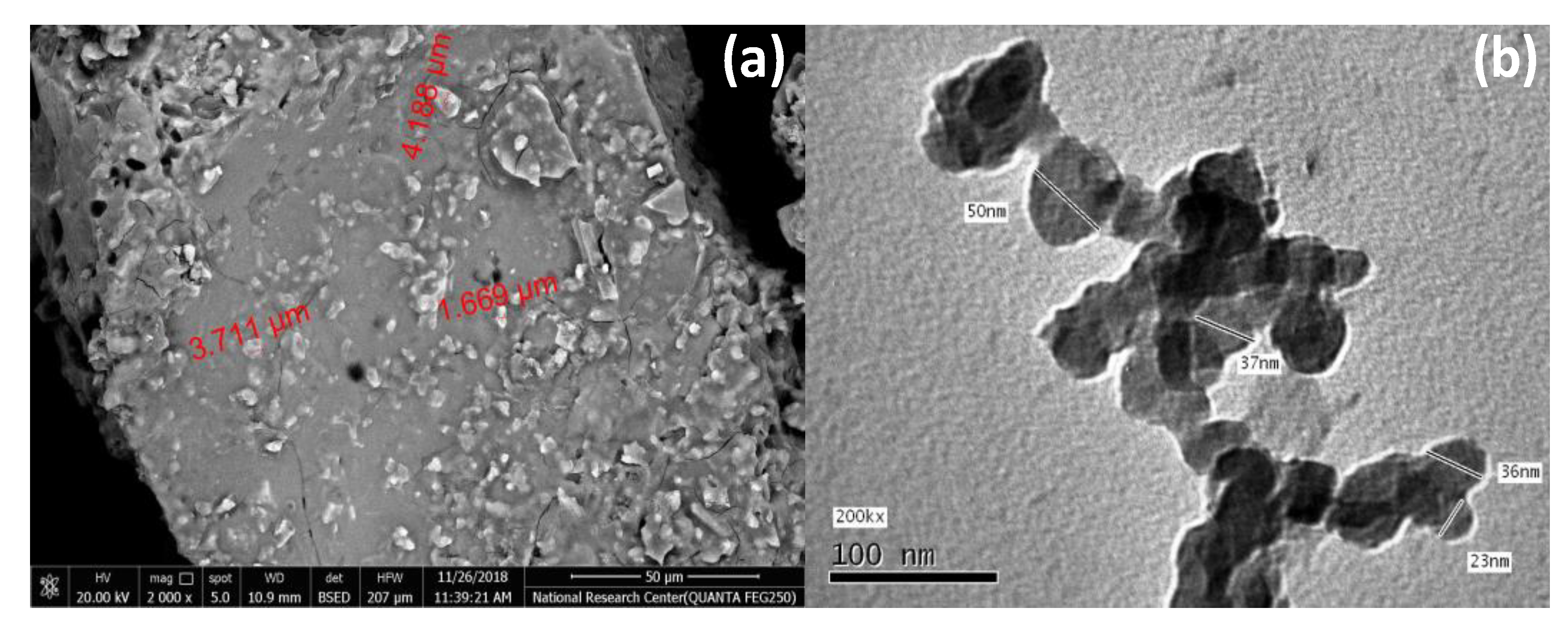 Processes 09 00416 g004 Processes 09 00416 g004