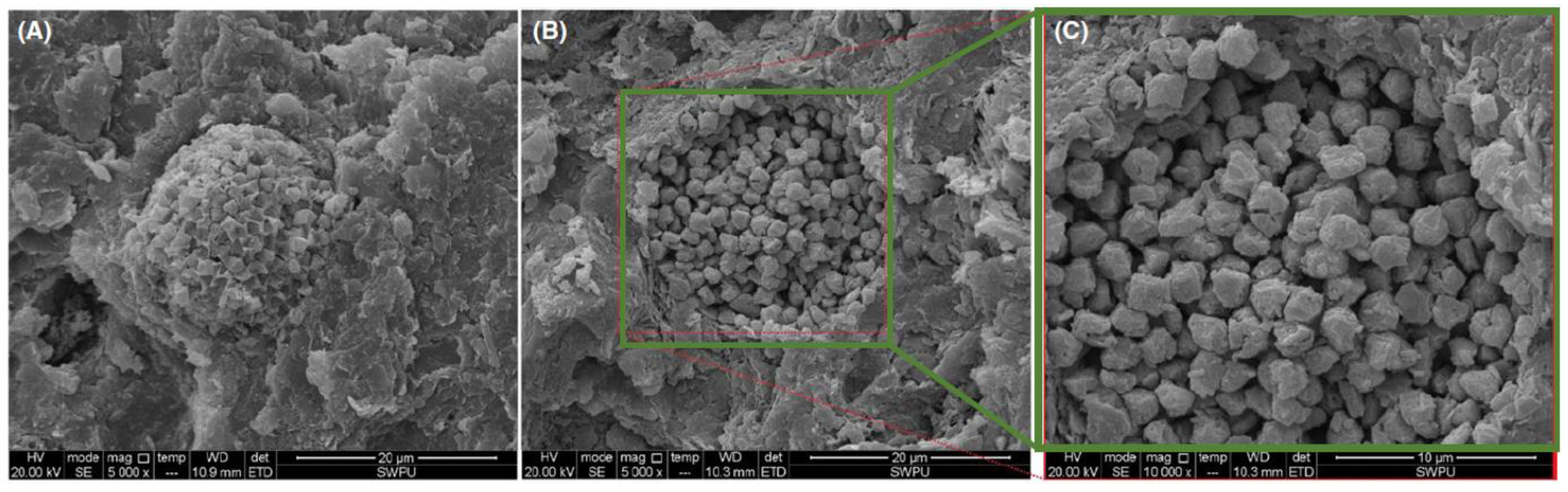 Processes 09 00420 g005
