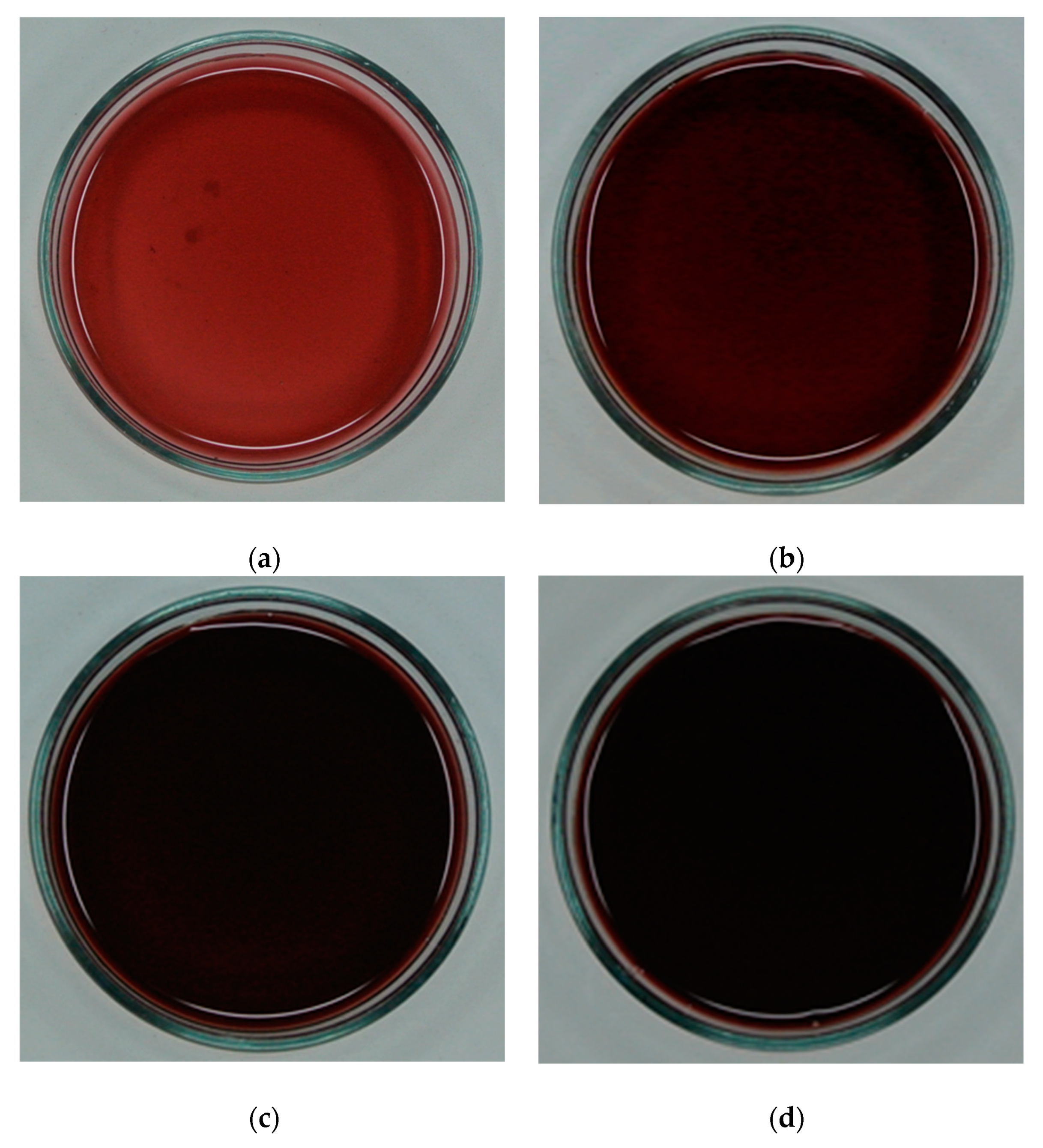 Processes 09 00421 g001