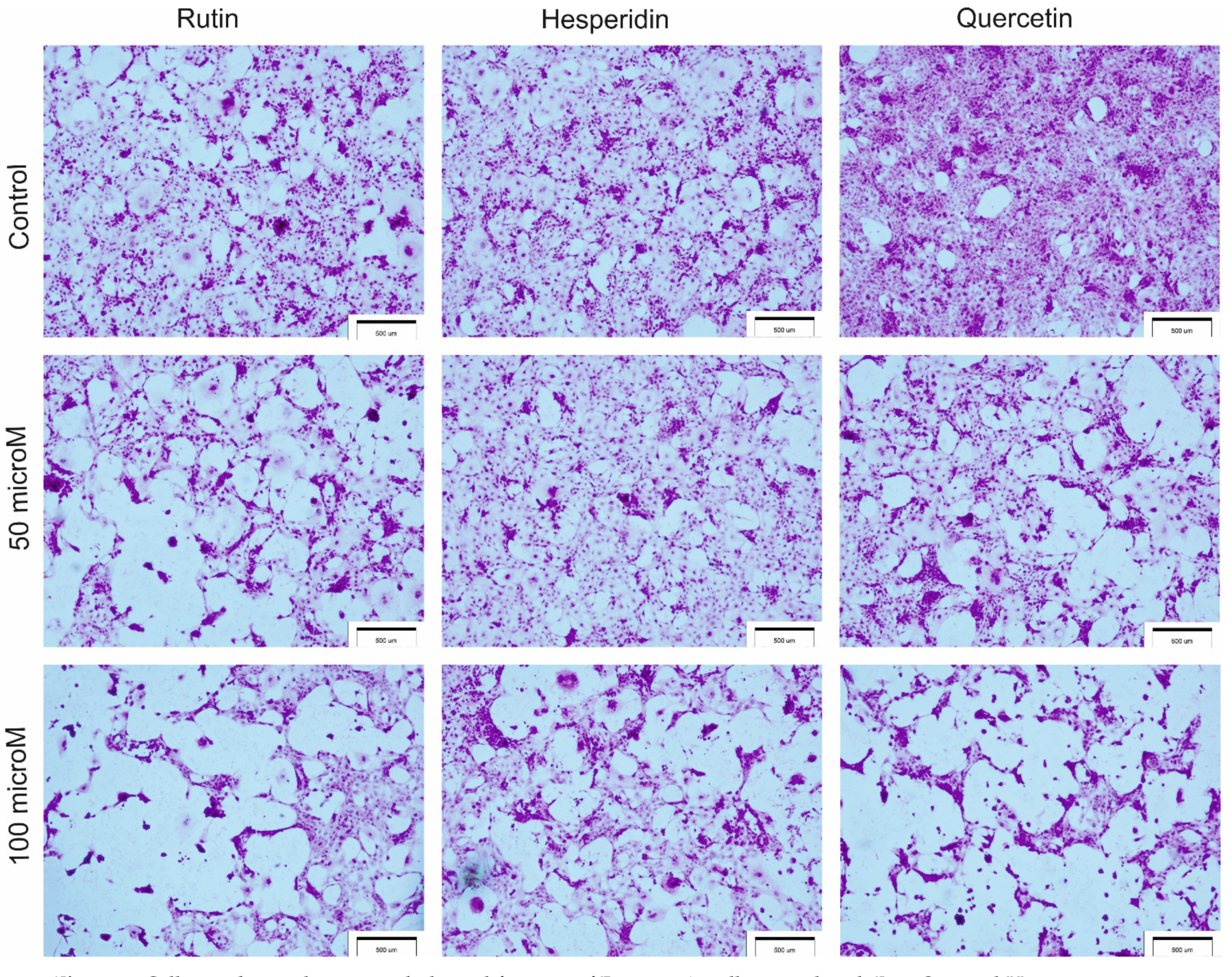 Processes 09 00426 g003 Processes 09 00426 g003