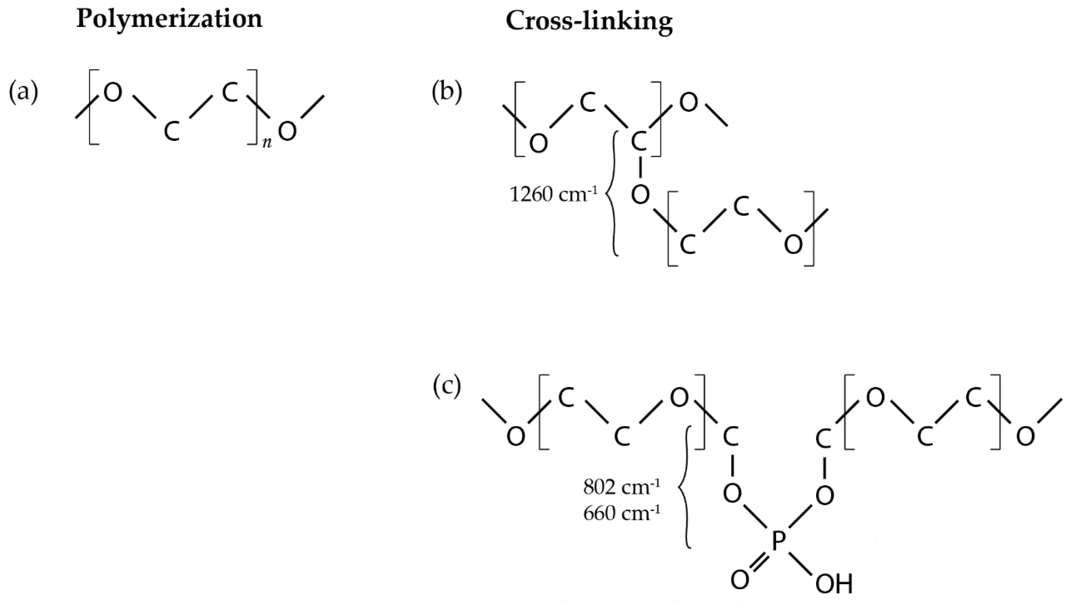 Processes 09 00433 g005