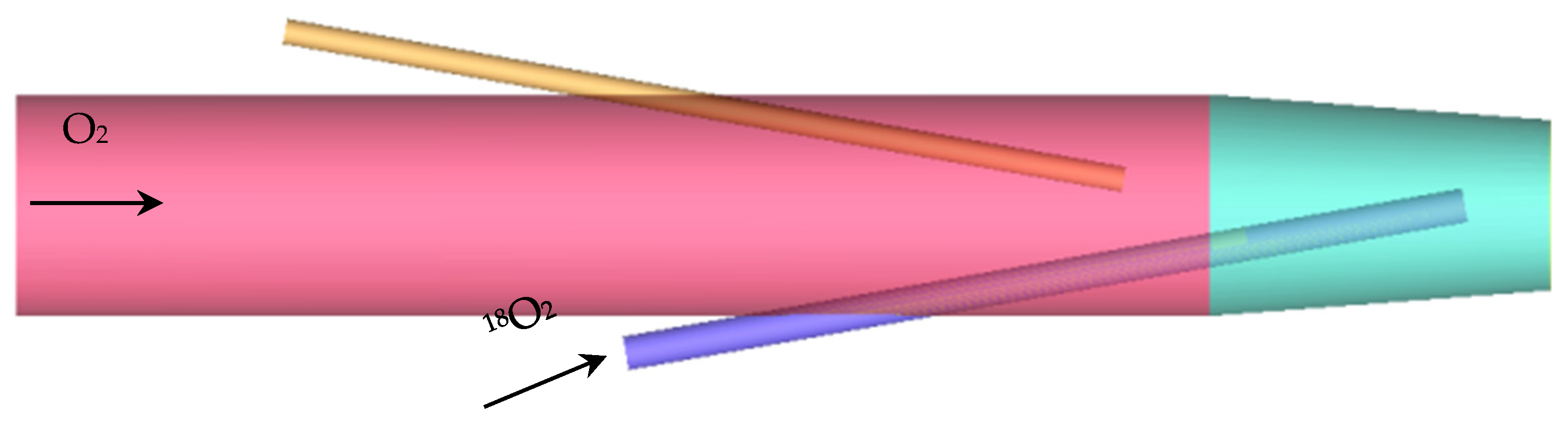 Processes 09 00440 g002