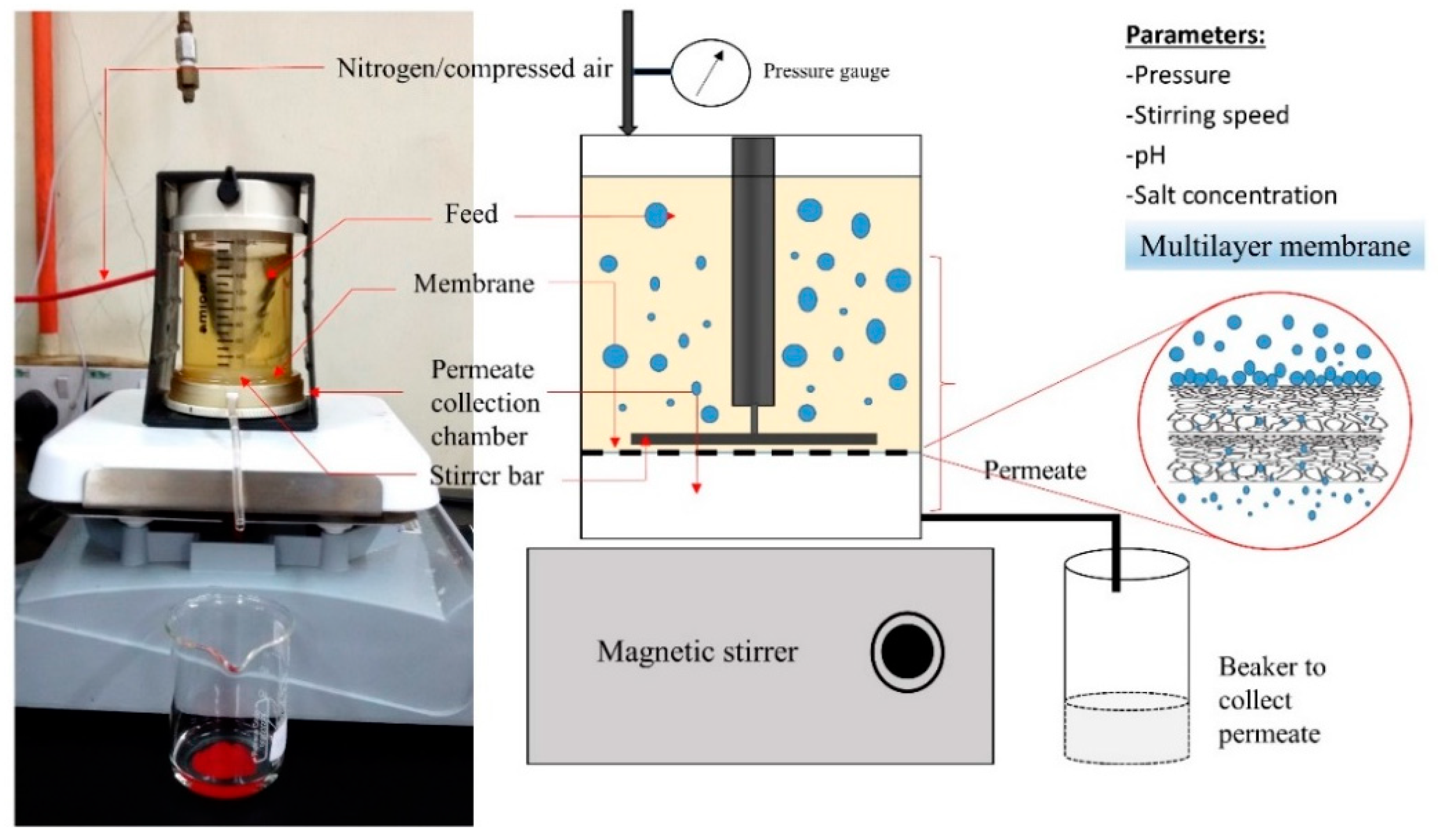 Processes 09 00446 g001