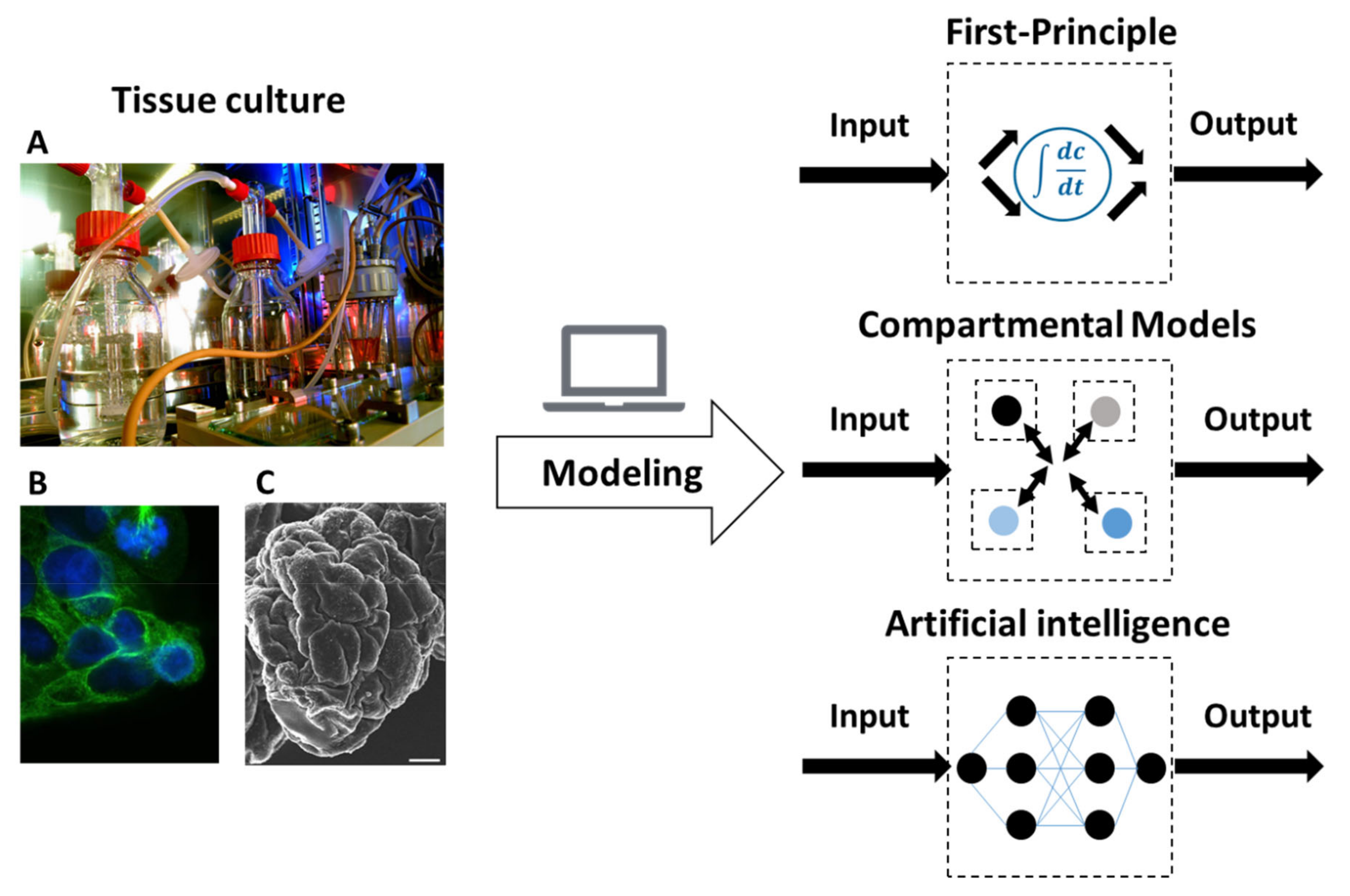 Processes 09 00447 g003 Processes 09 00447 g003