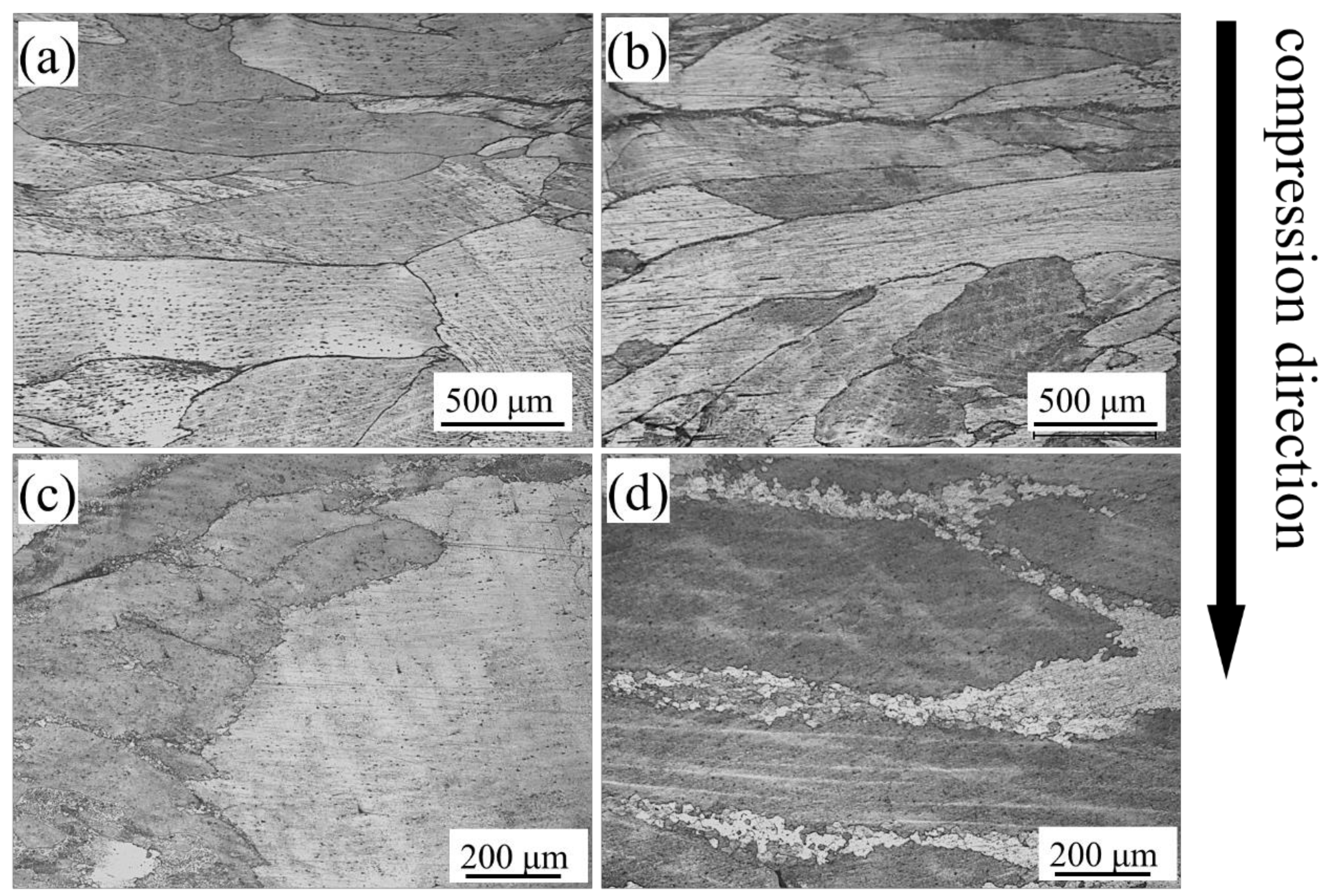 Processes 09 00451 g005
