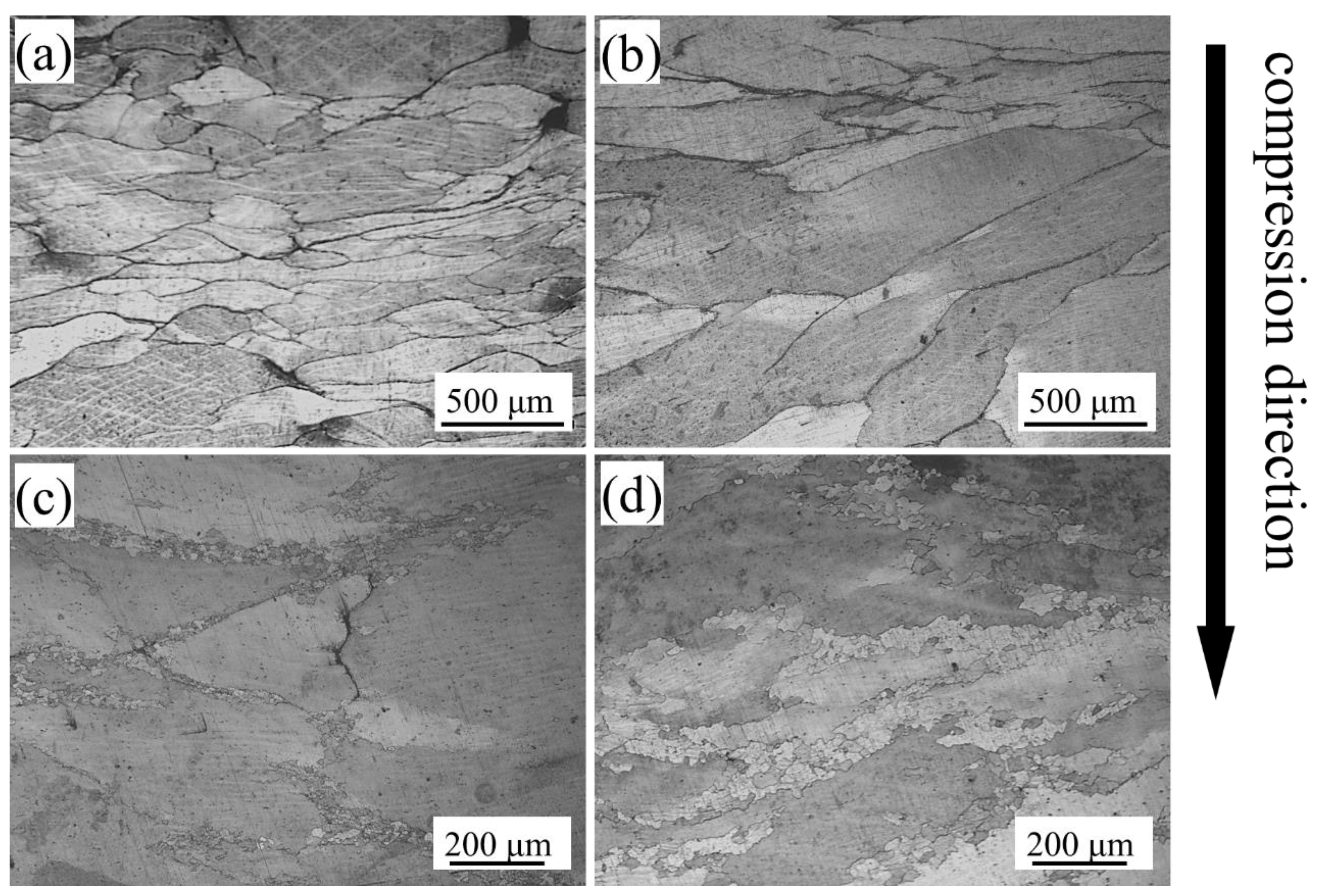 Processes 09 00451 g006
