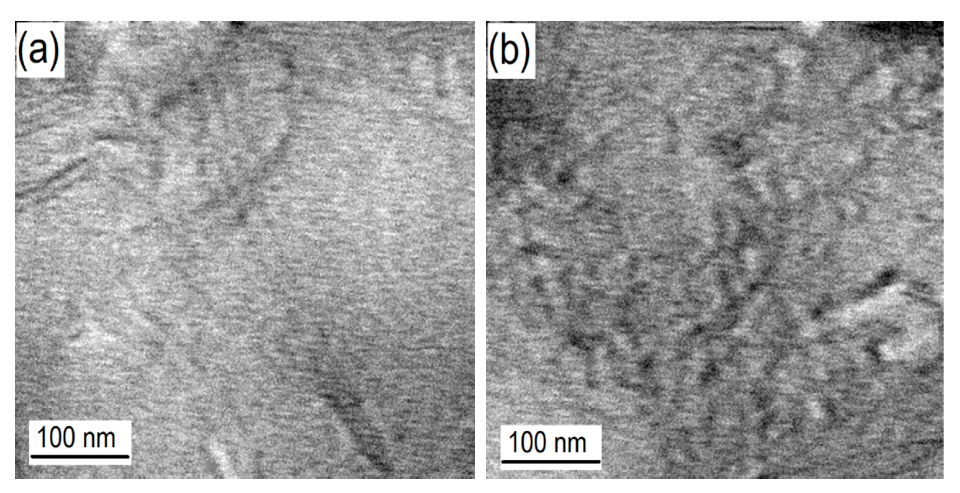 Processes 09 00459 g003
