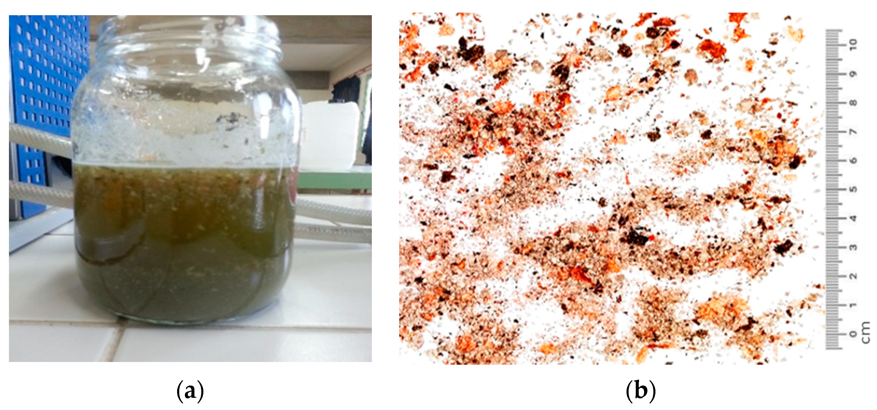 Processes 09 00468 g003