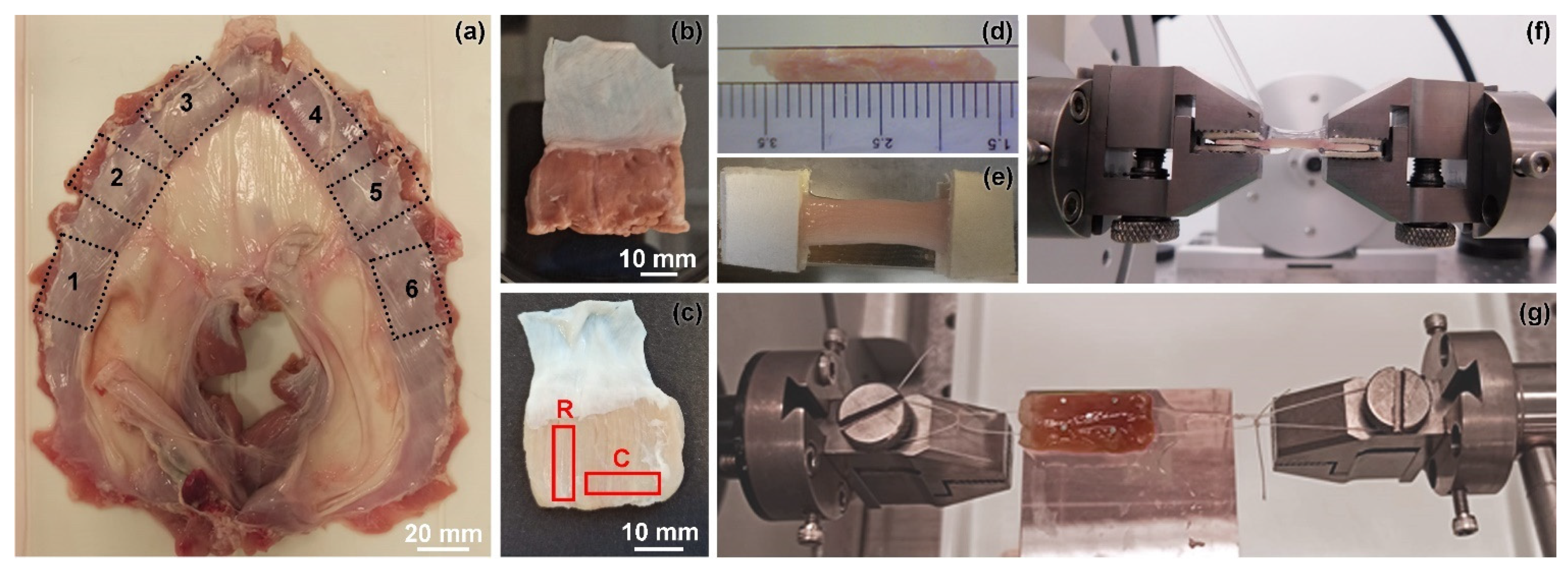 Processes 09 00474 g002