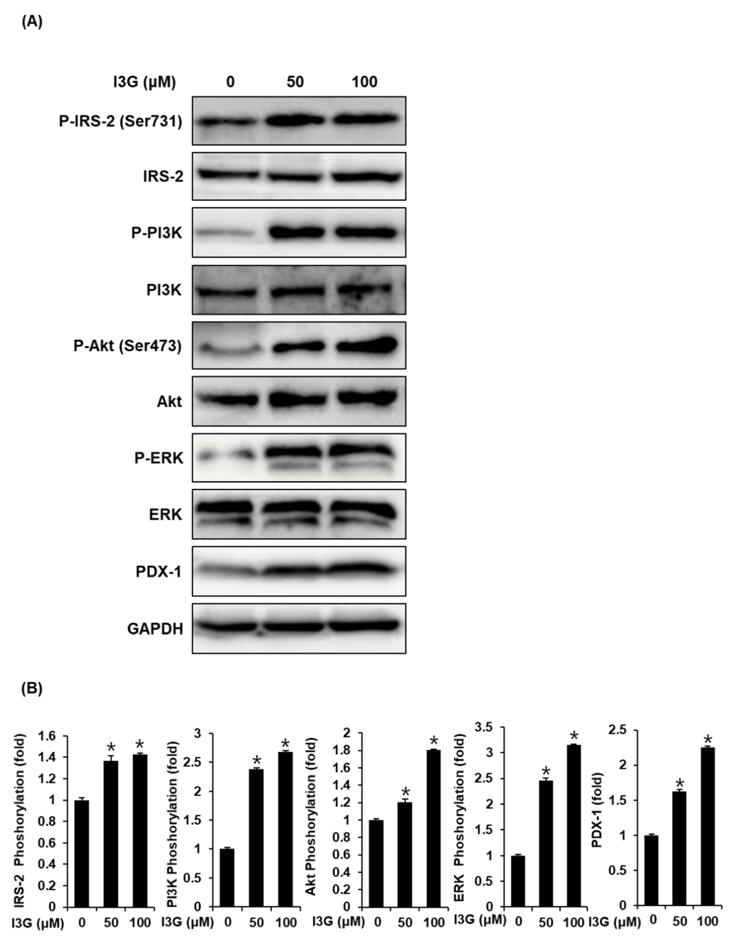 Processes 09 00483 g004