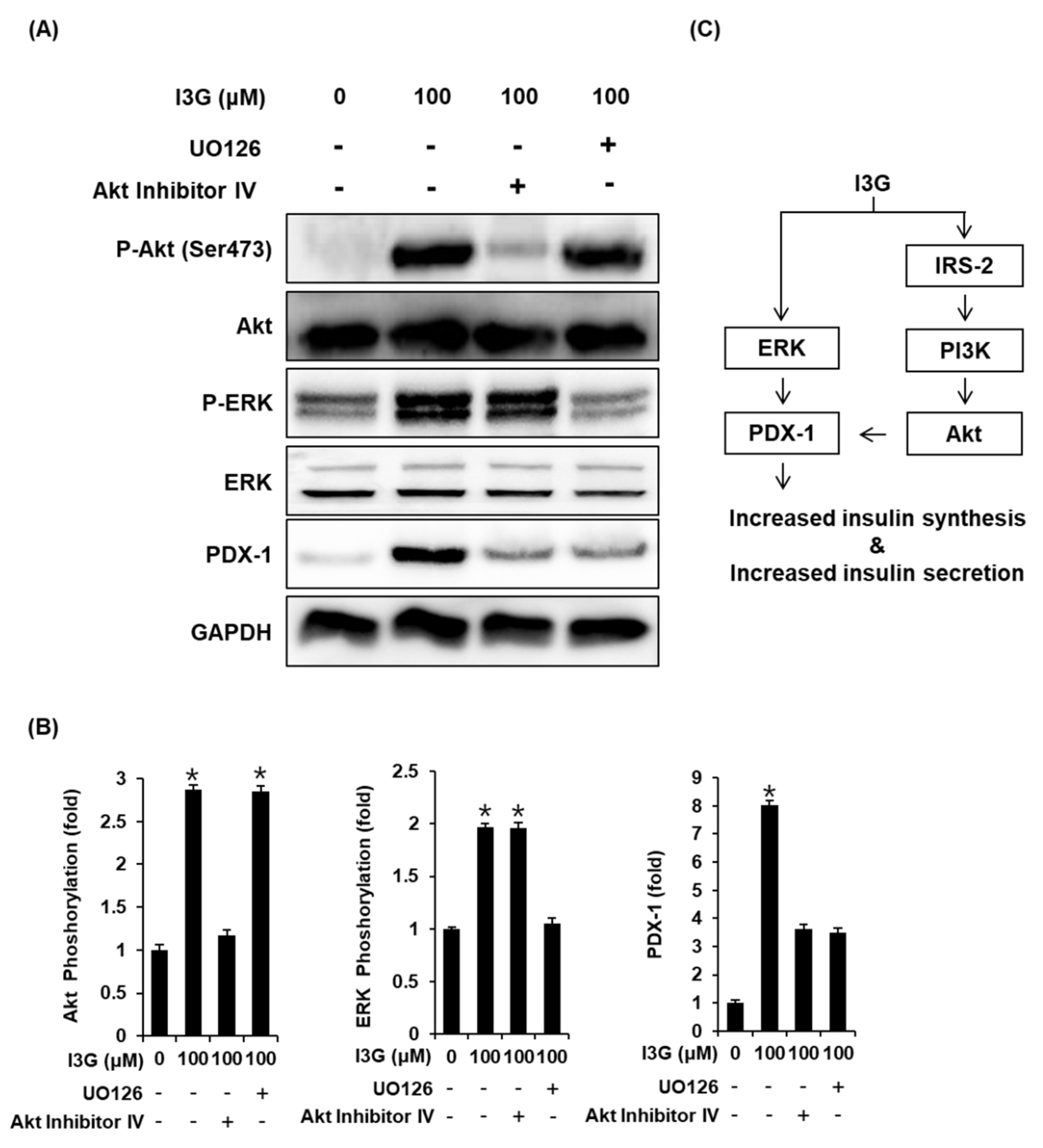 Processes 09 00483 g005