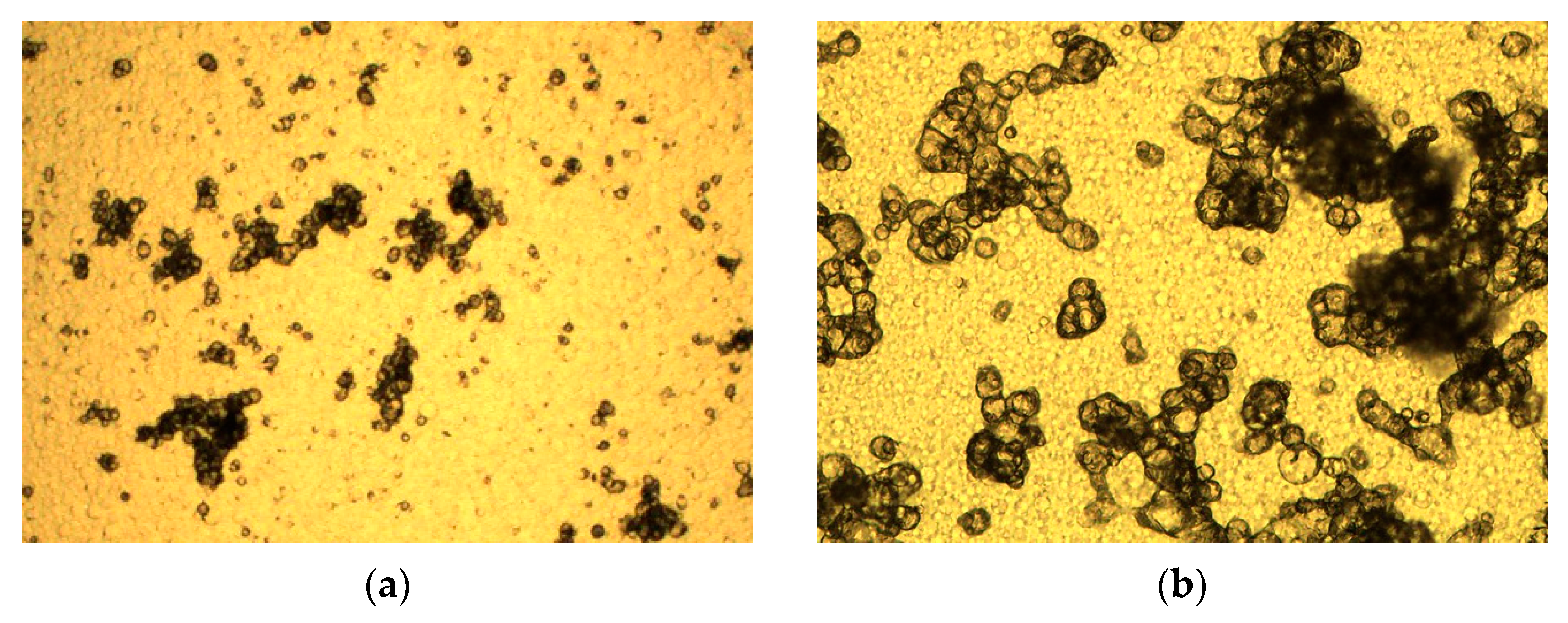 Processes 09 00488 g004