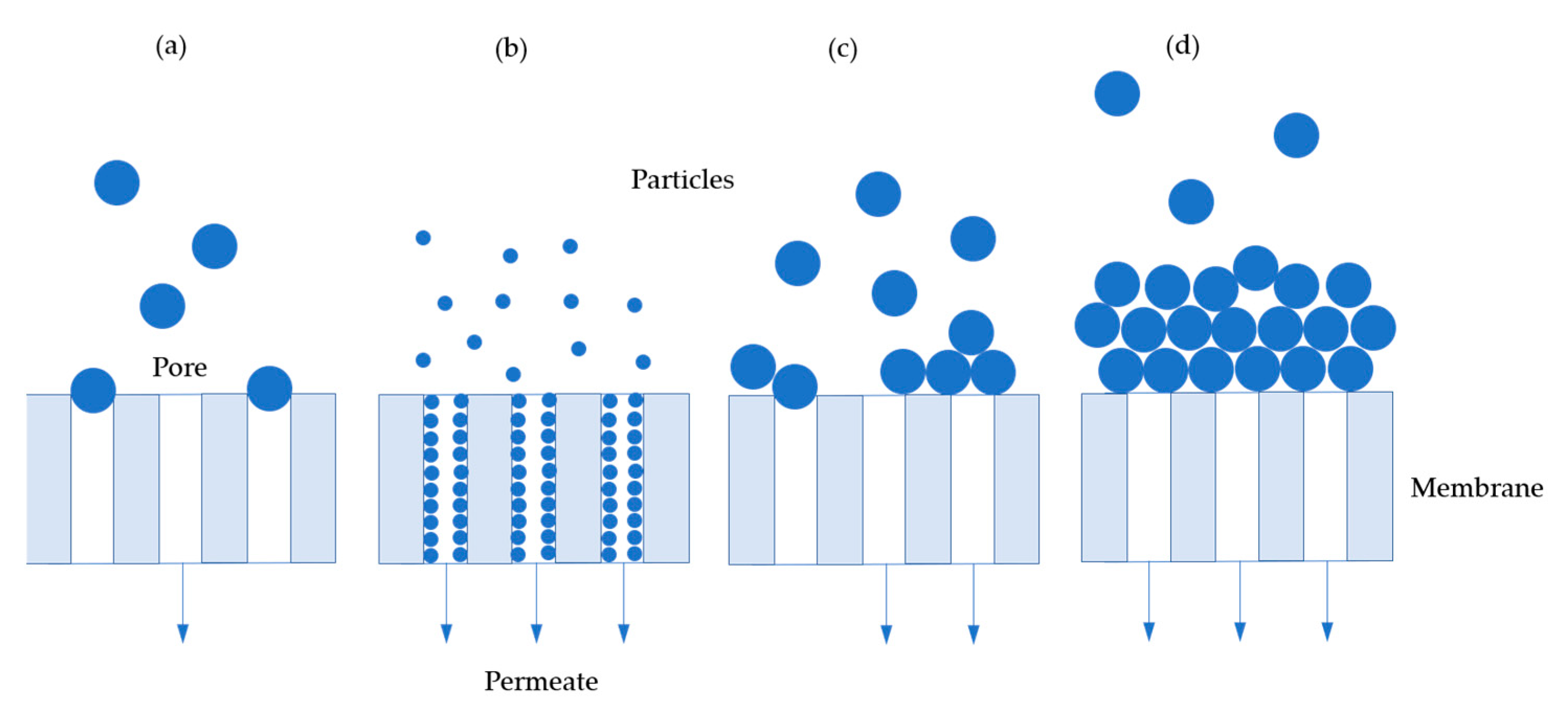 Processes 09 00488 g005