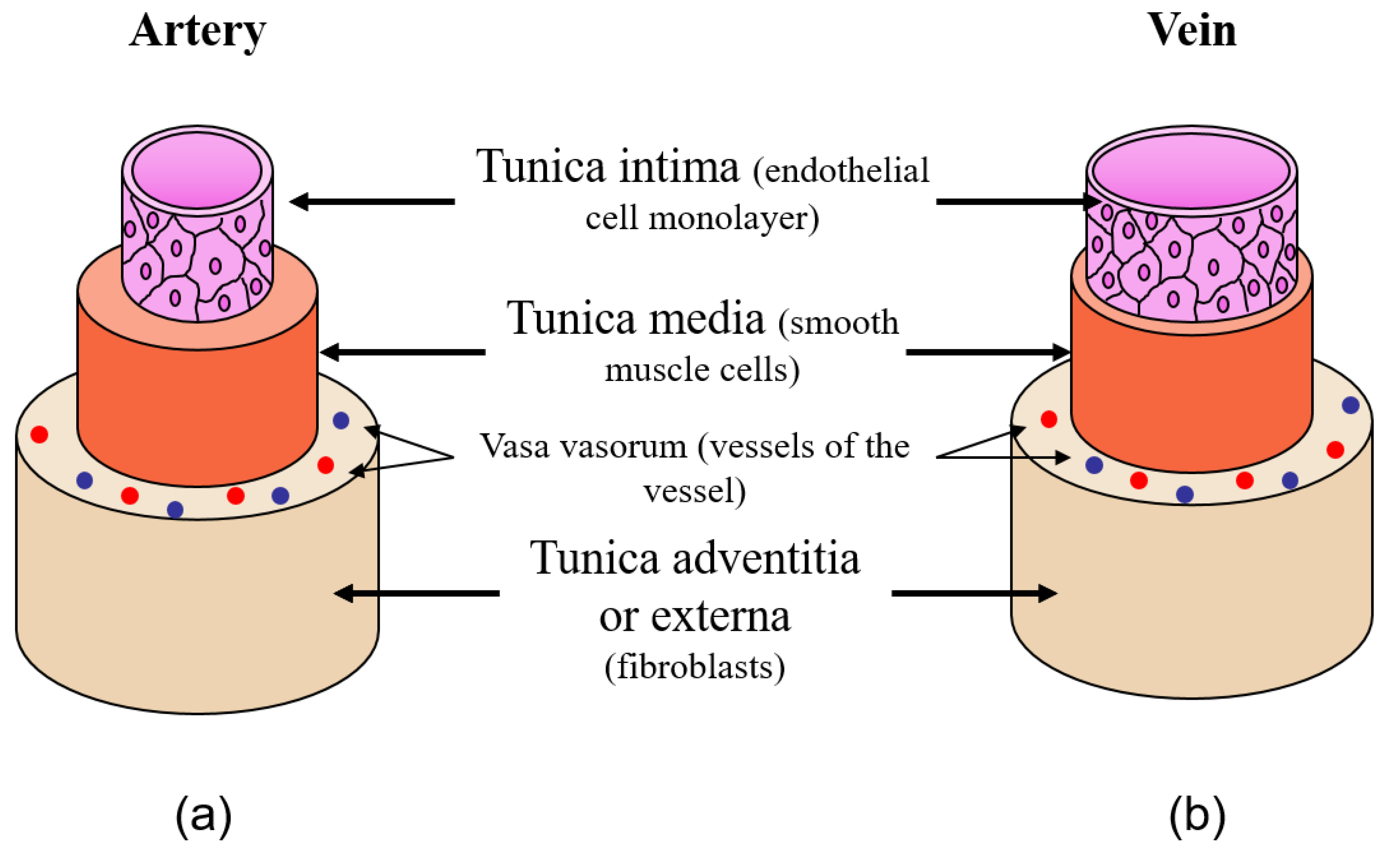 Processes 09 00513 g001