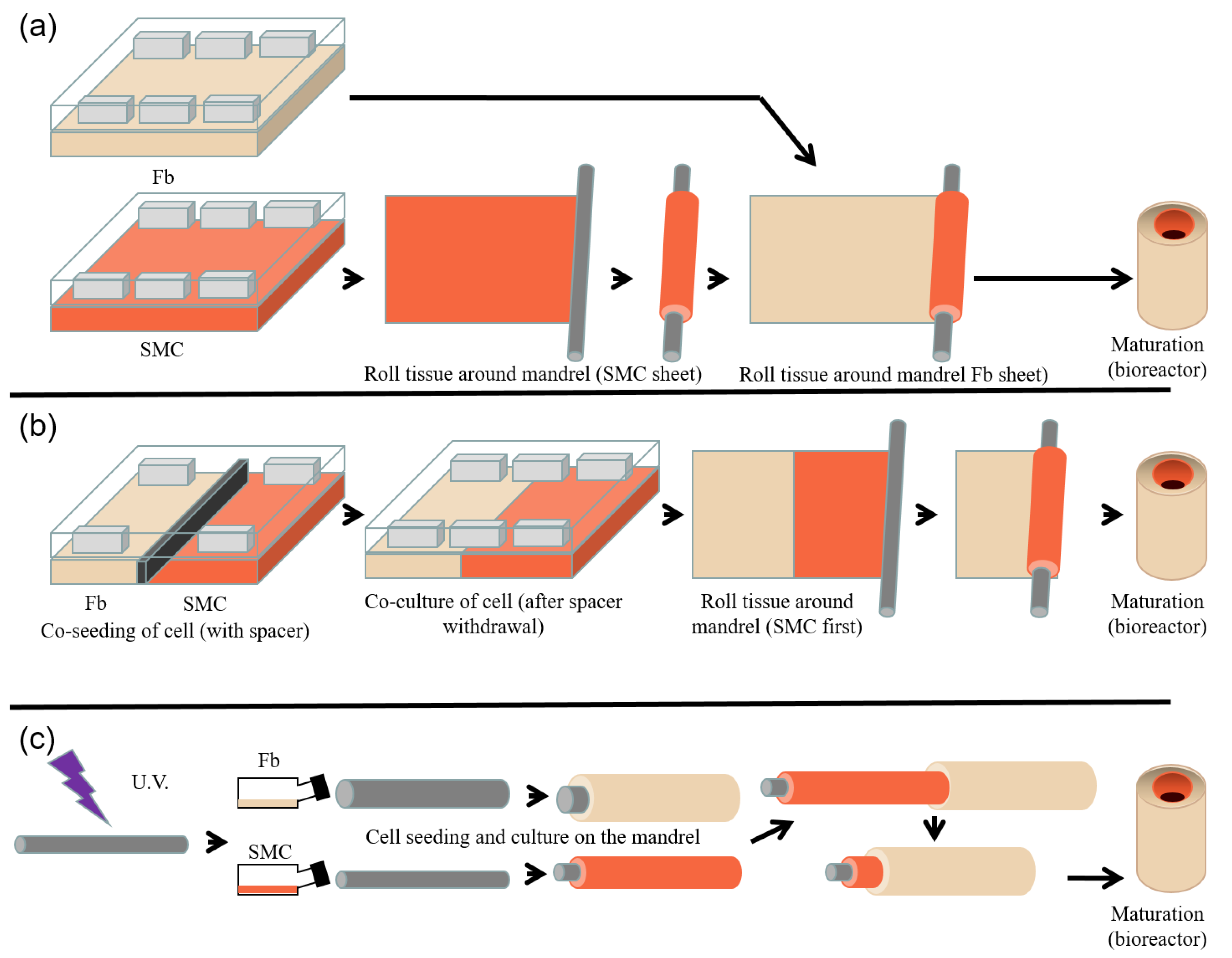 Processes 09 00513 g003