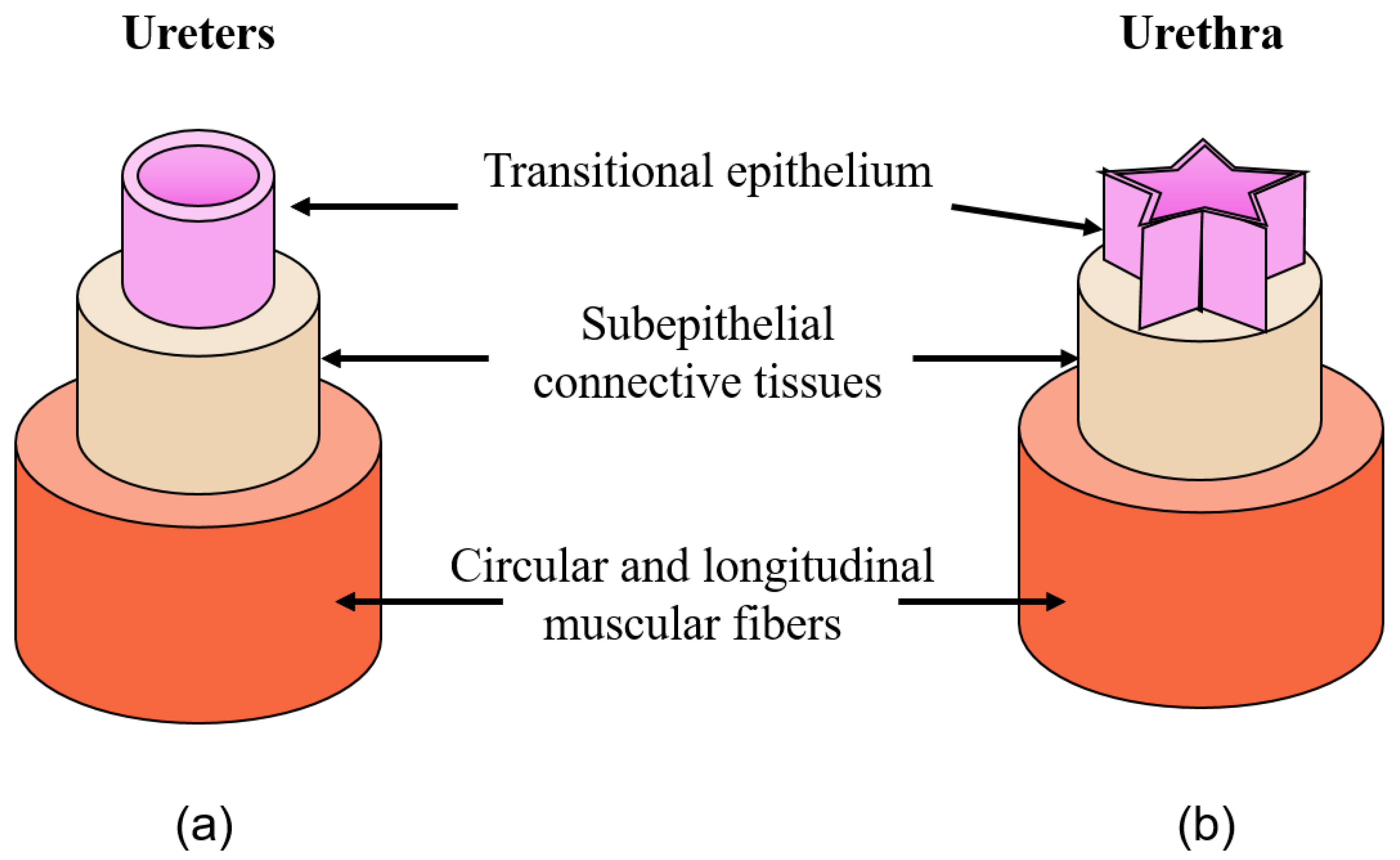 Processes 09 00513 g004