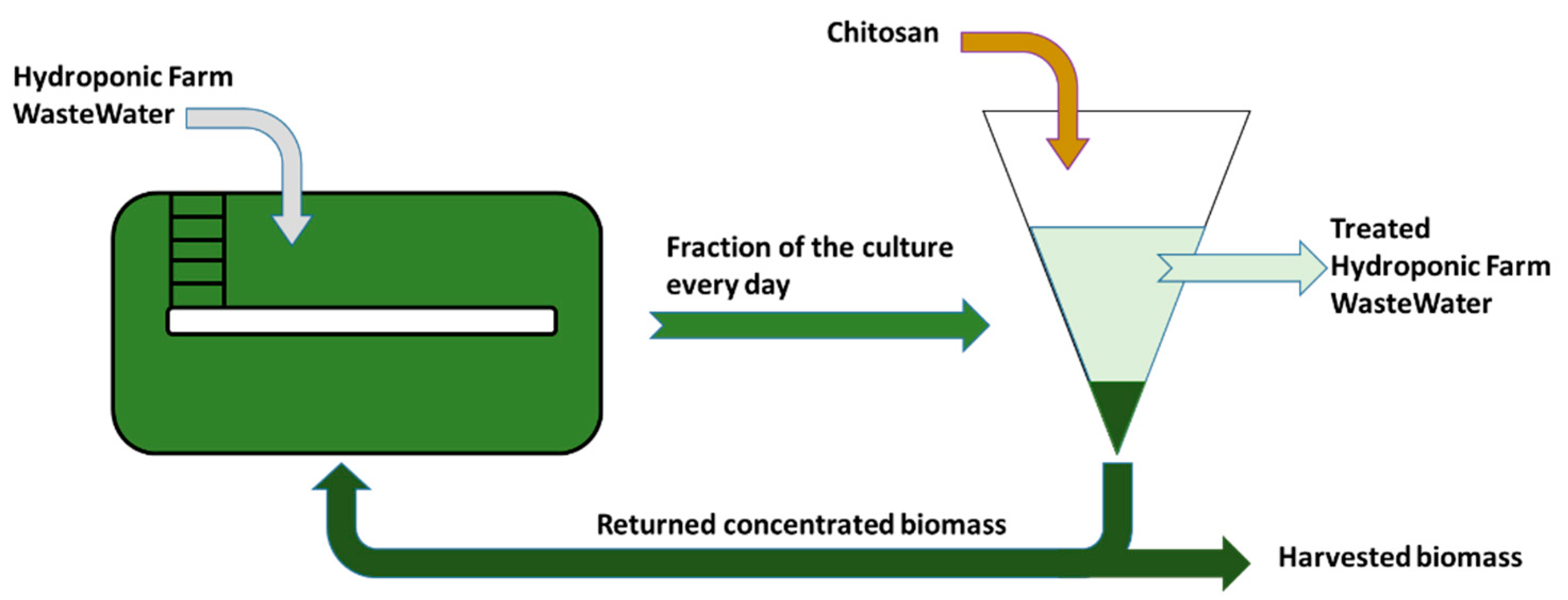 Processes 09 00519 g004