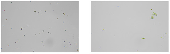 Processes 09 00519 g0a1