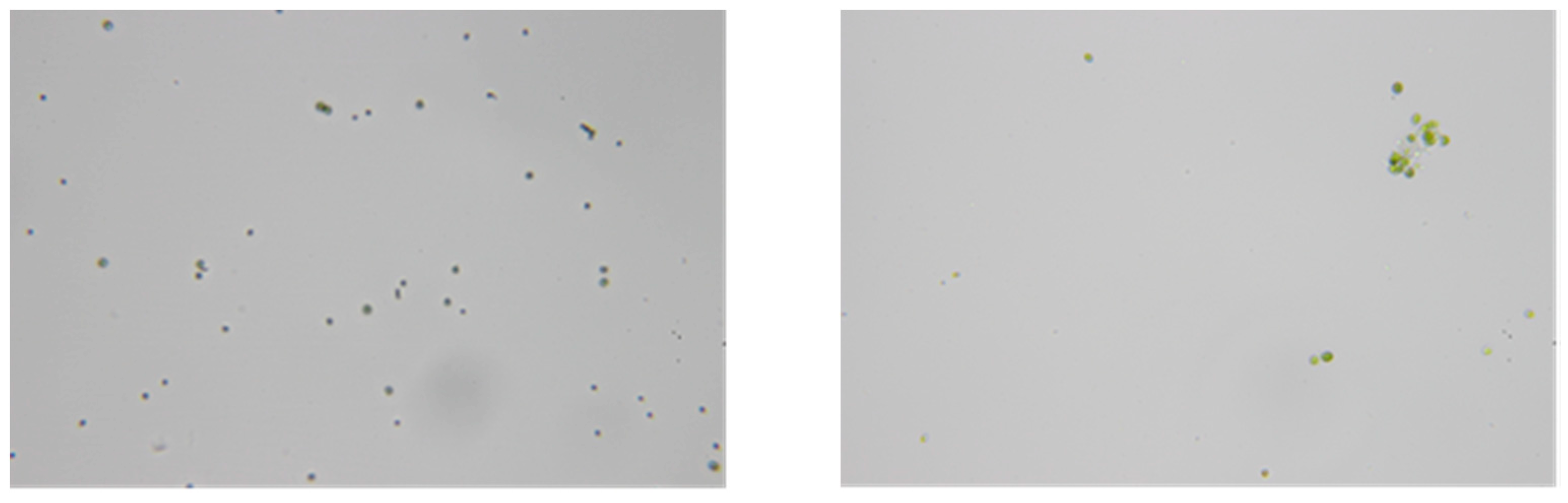 Processes 09 00519 g0a1