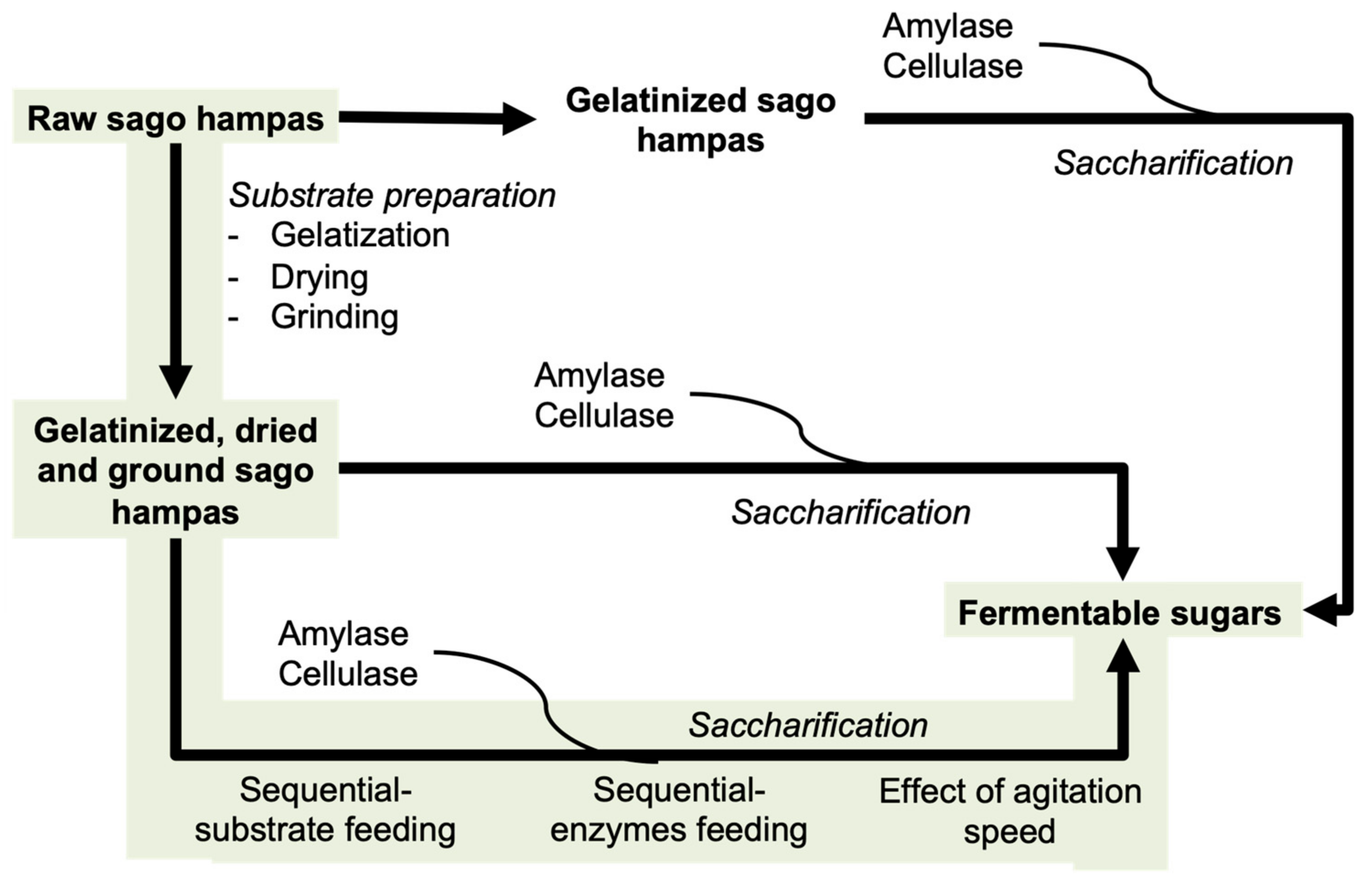 Processes 09 00535 g001