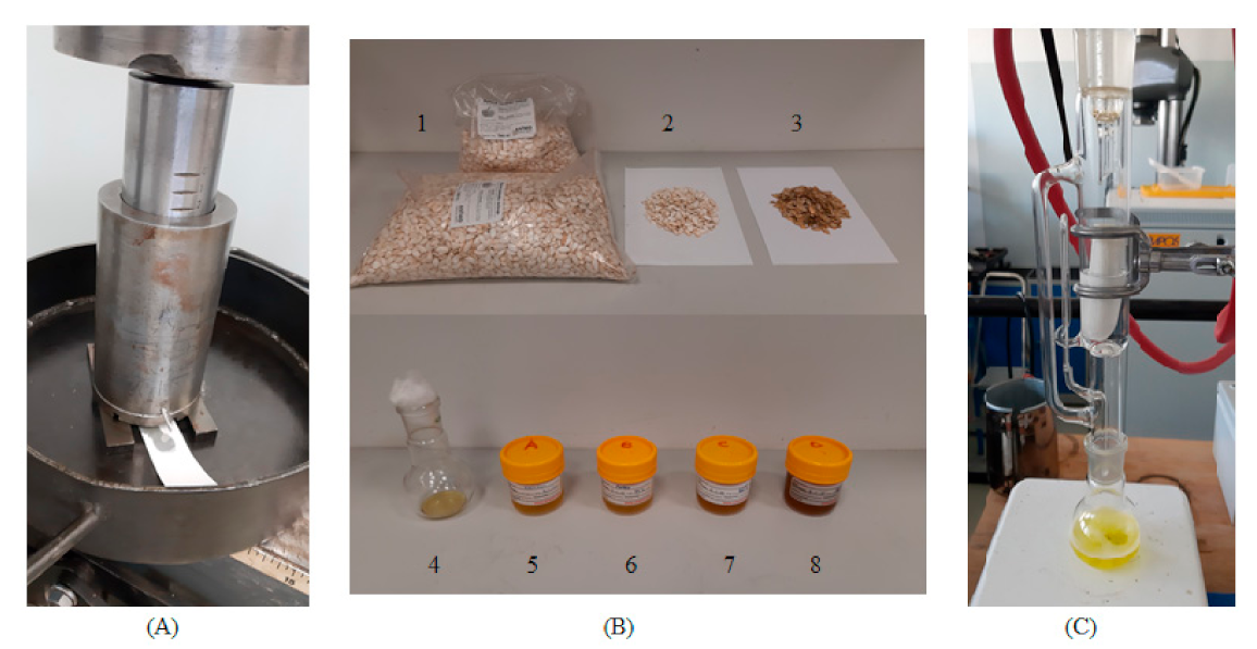 Processes 09 00540 g001