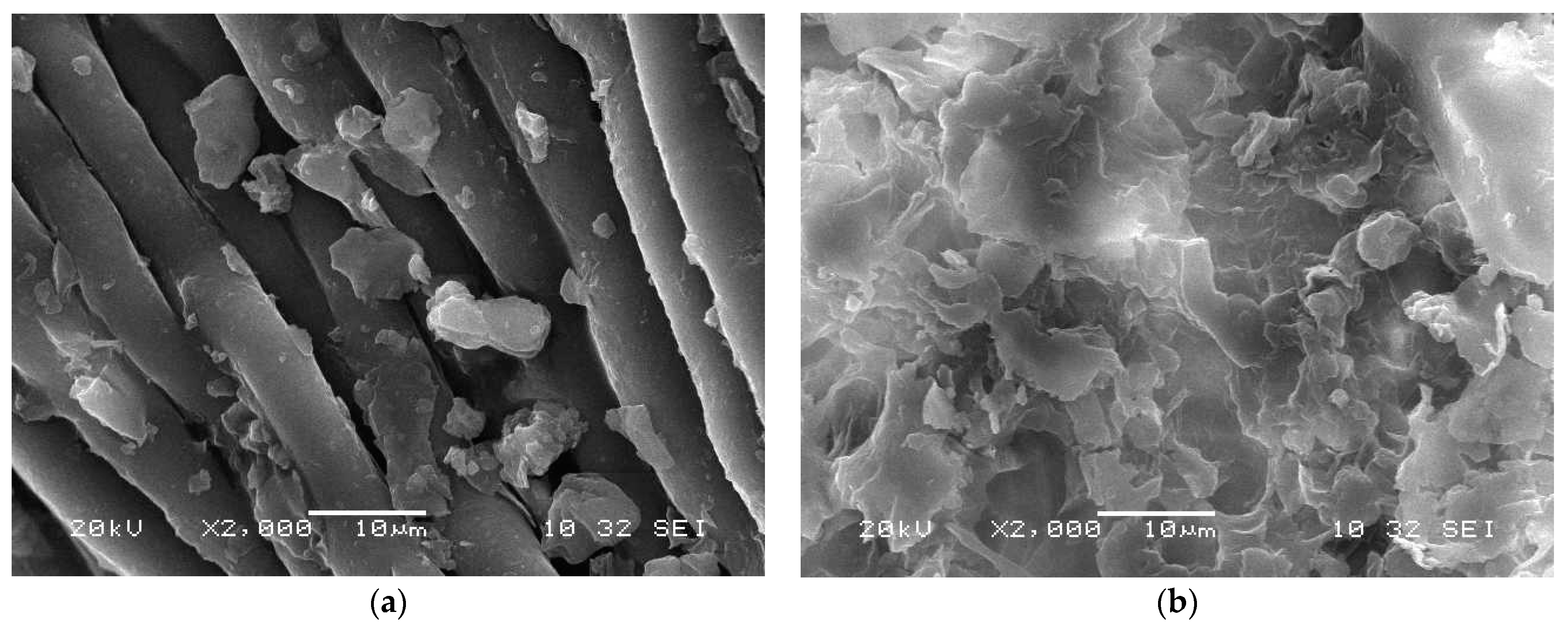 Processes 09 00559 g002