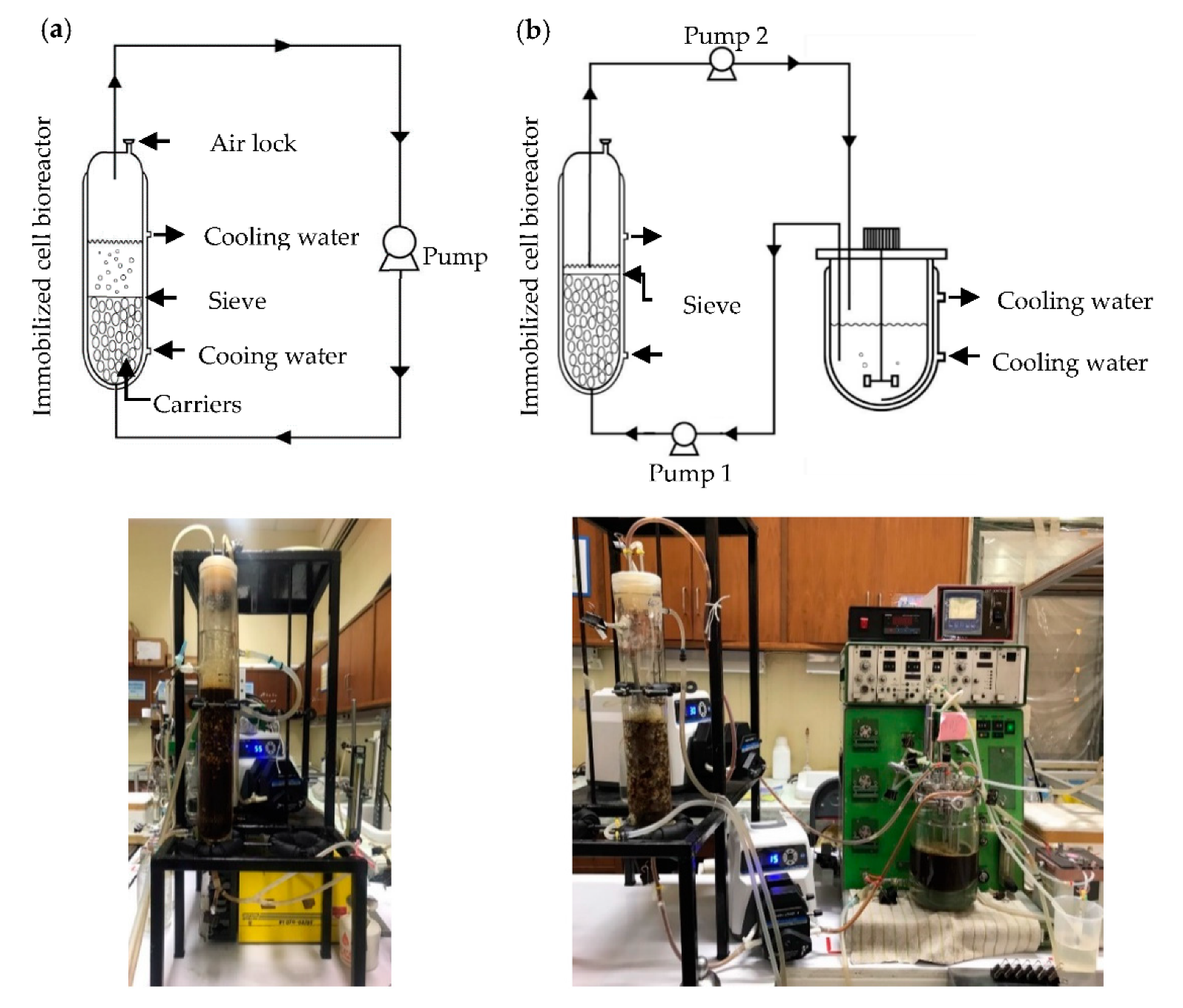 Processes 09 00573 g001