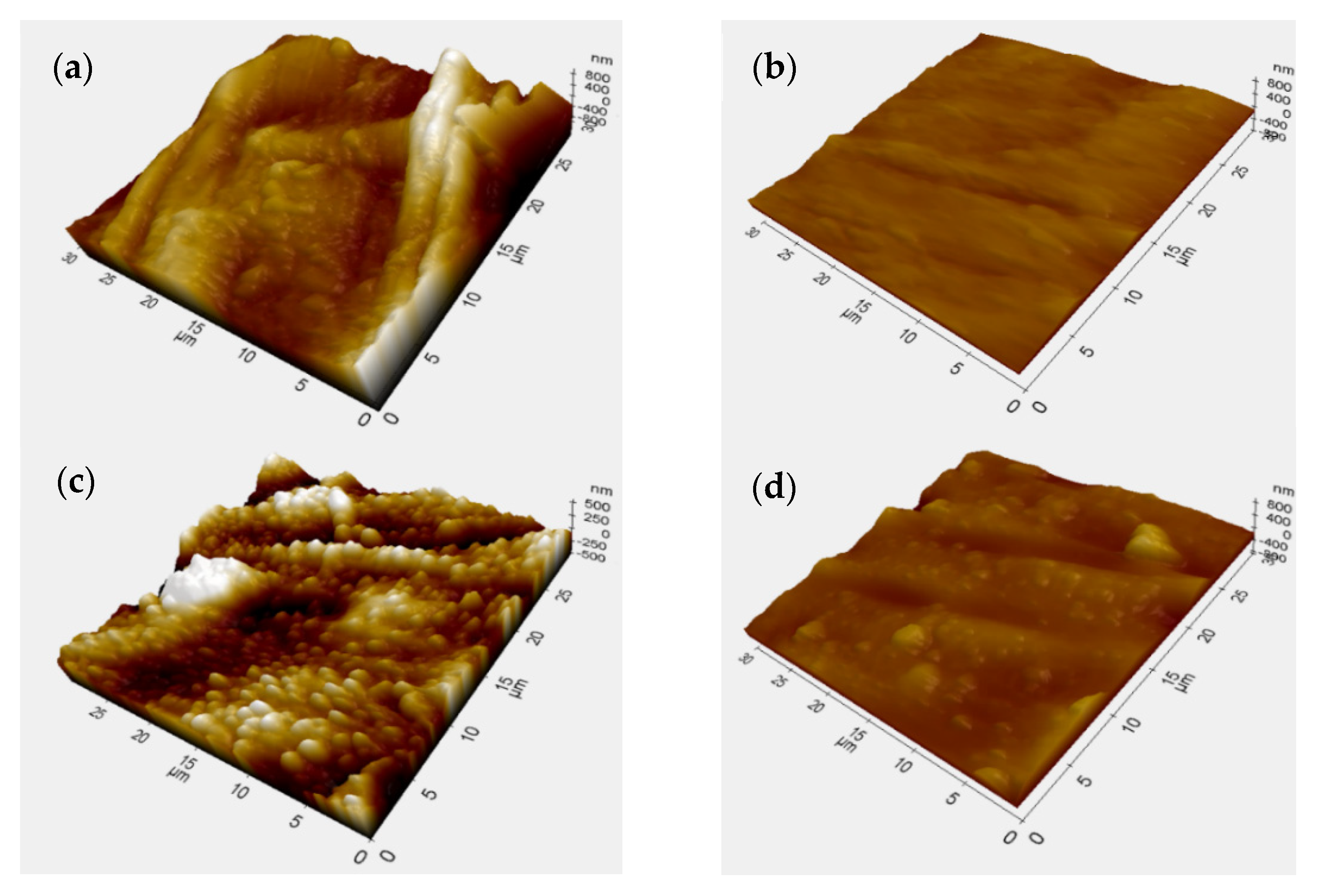 Processes 09 00573 g005