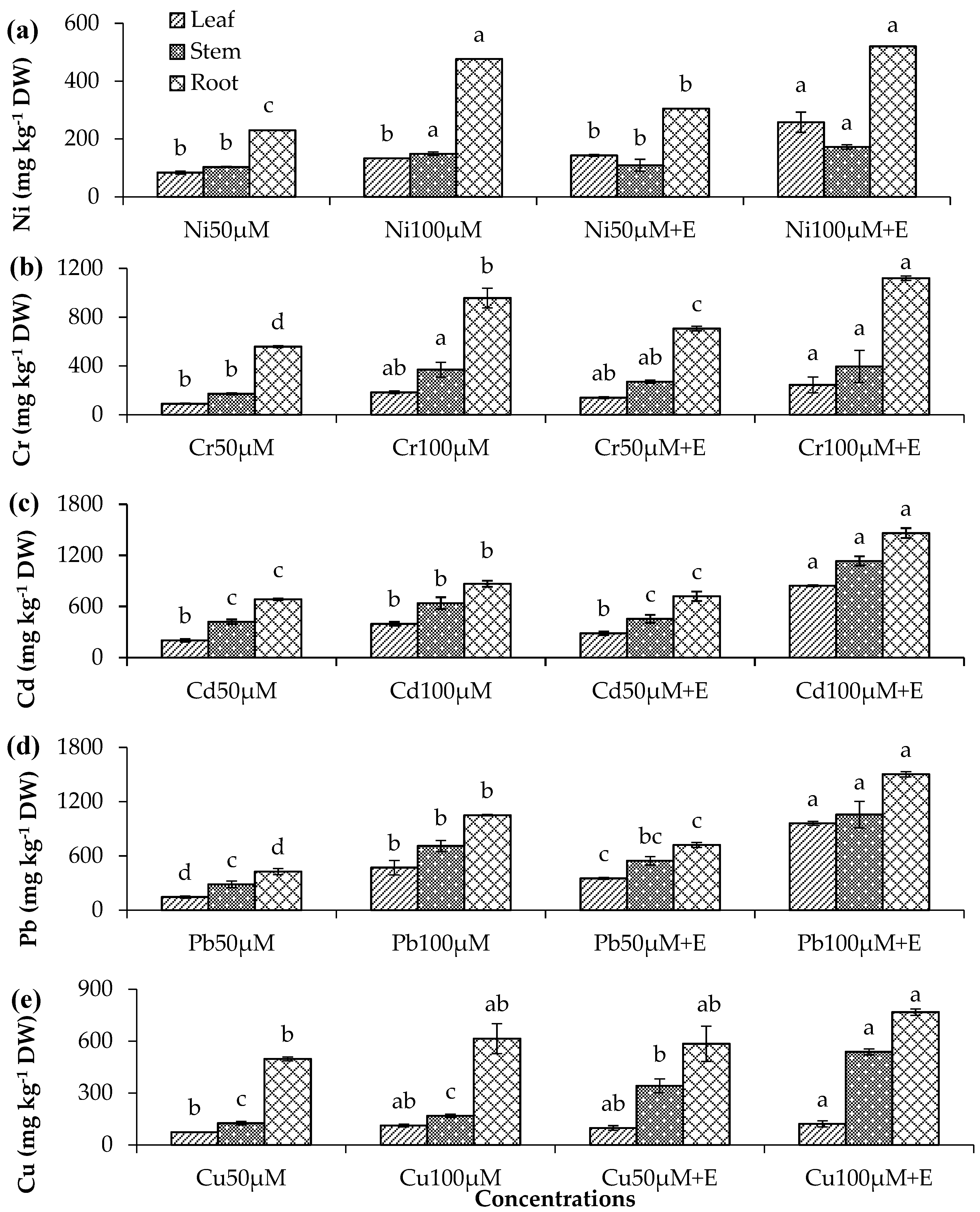Processes 09 00598 g001