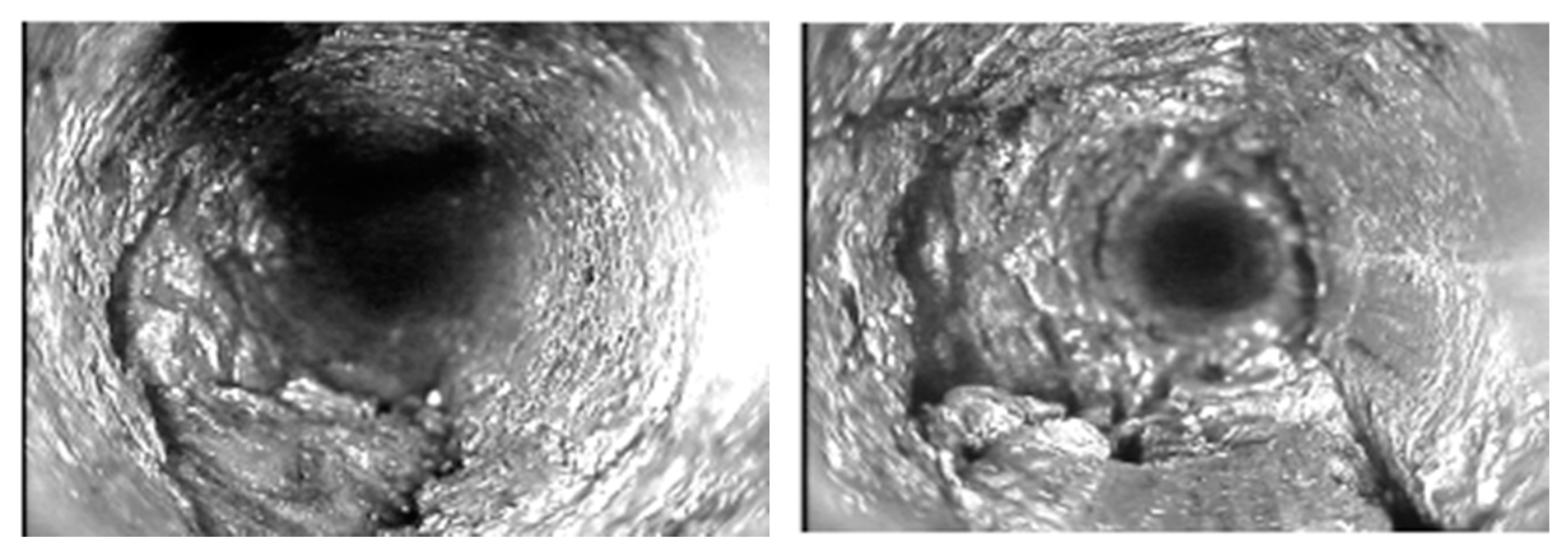 Processes 09 00603 g013