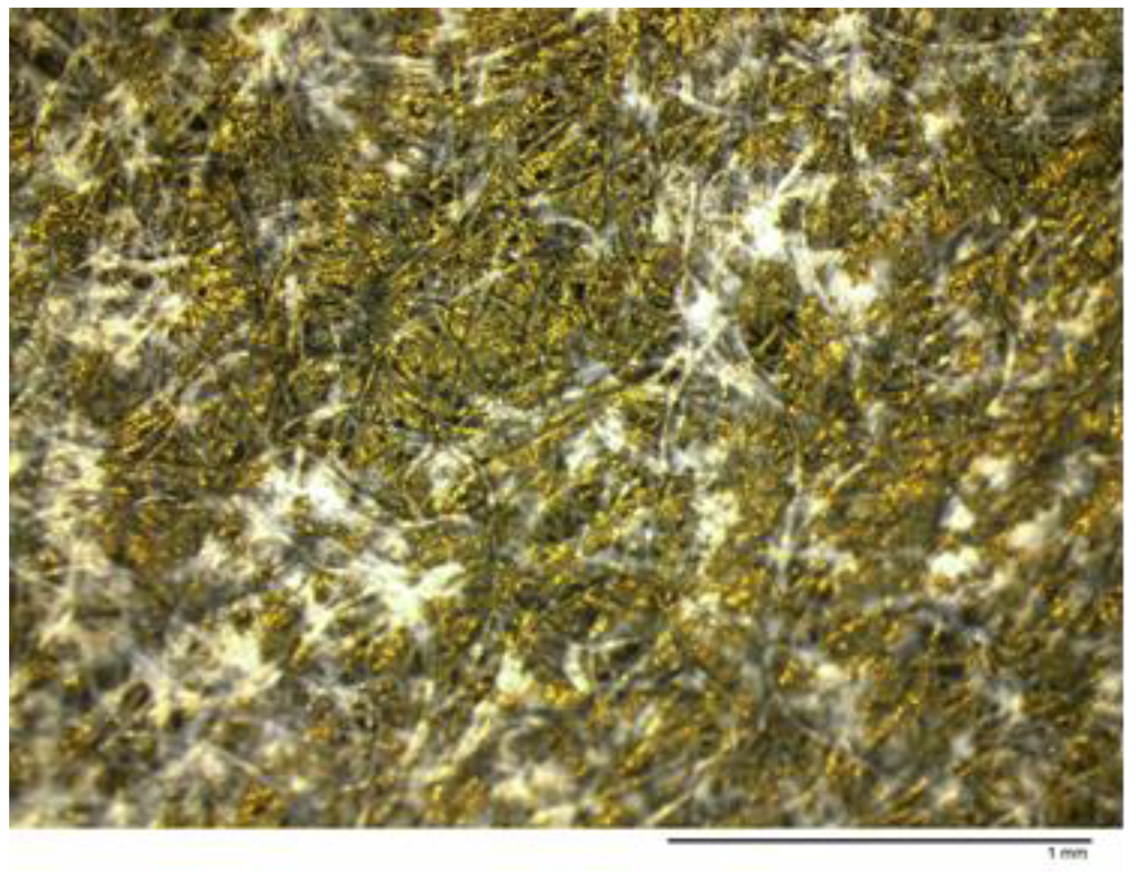 Processes 09 00608 g004