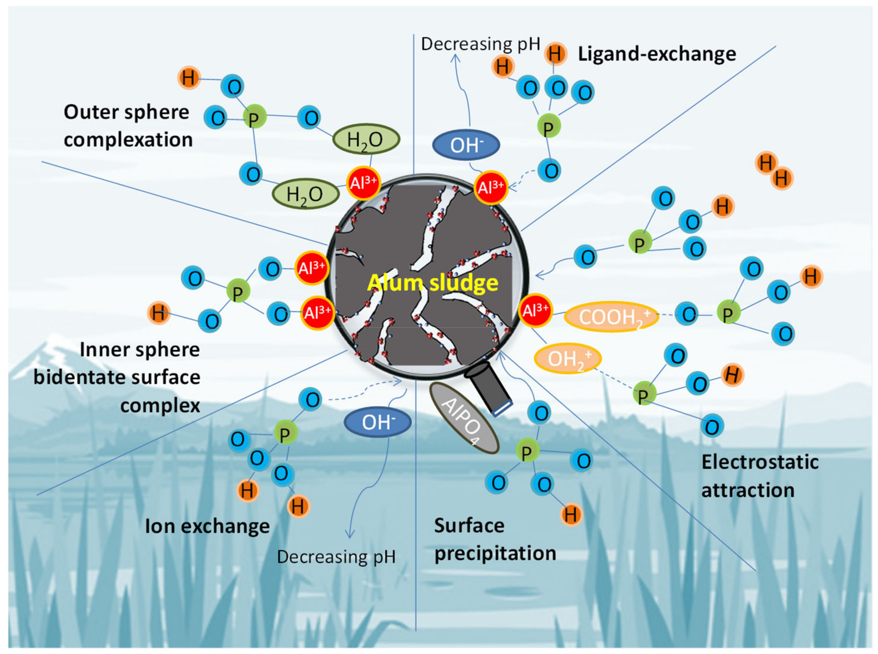Processes 09 00612 g004