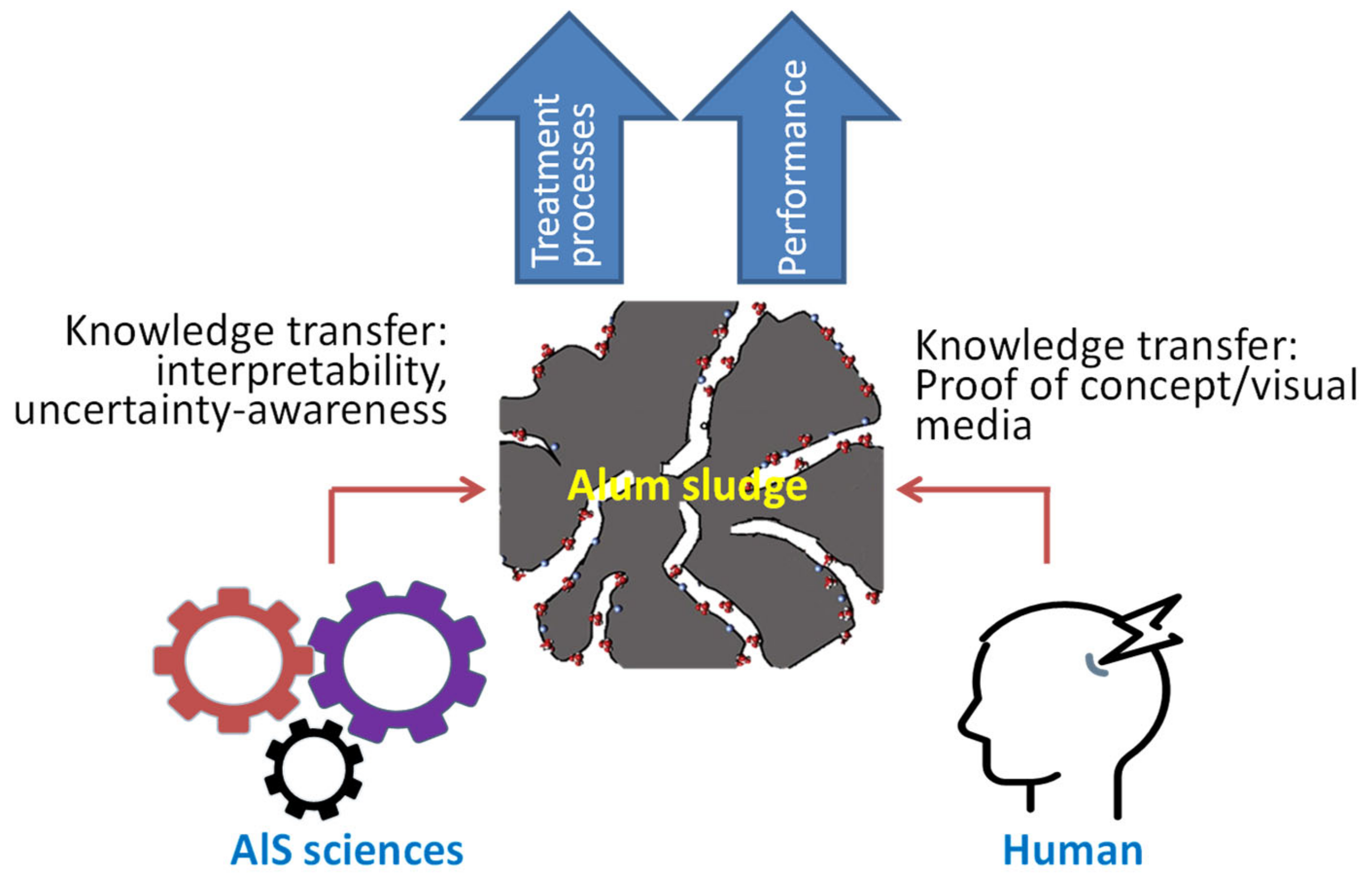Processes 09 00612 g005