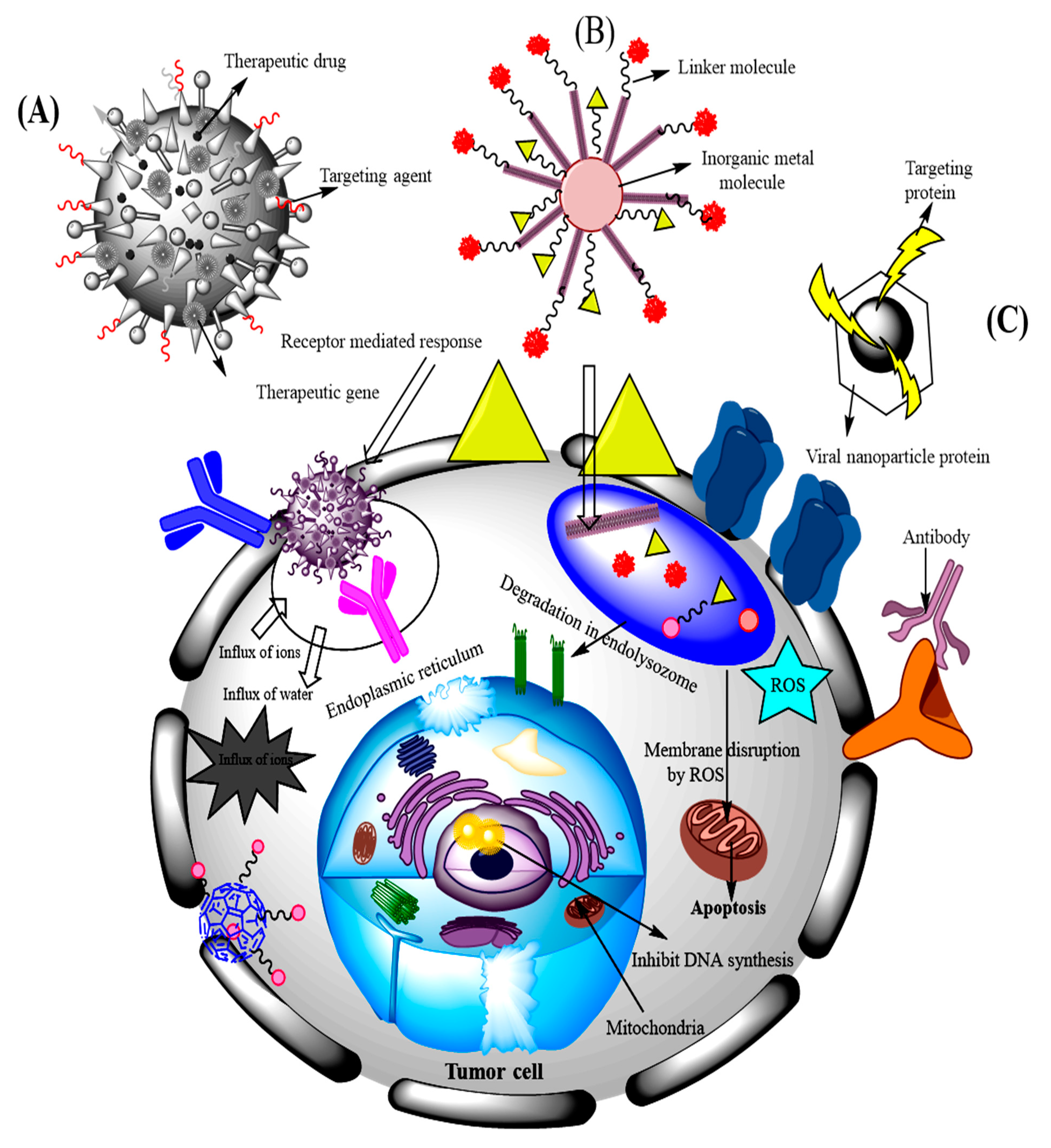Processes 09 00621 g001