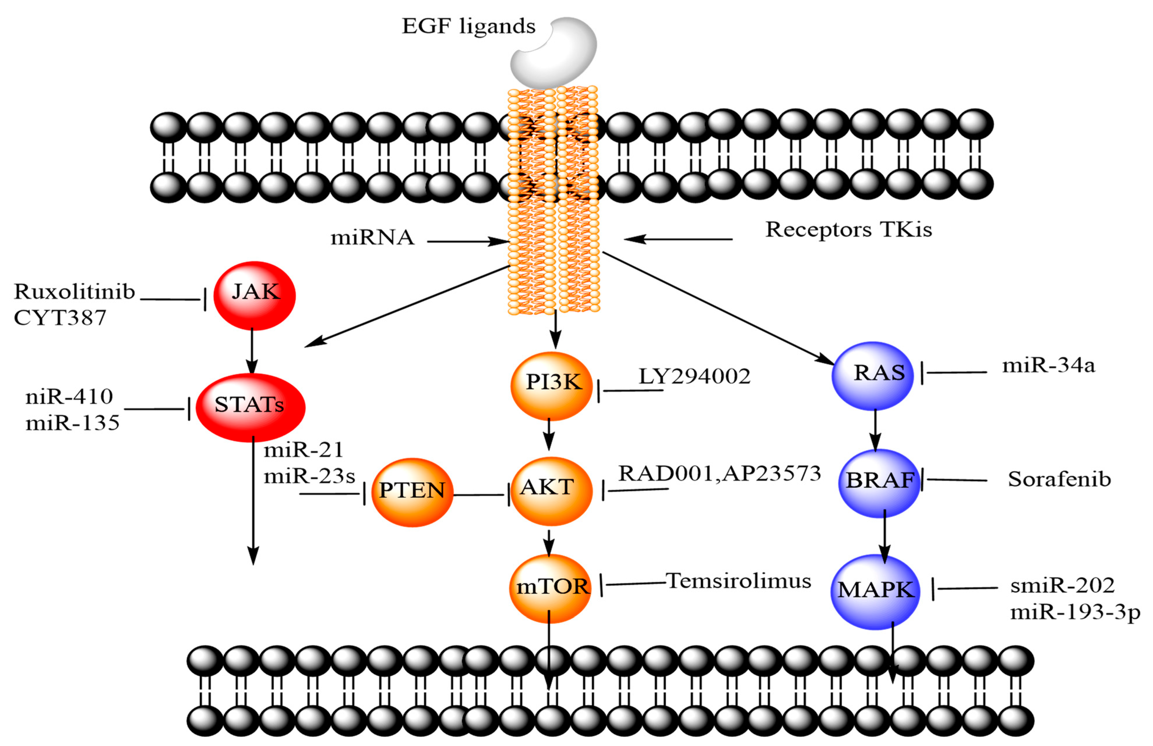 Processes 09 00621 g002