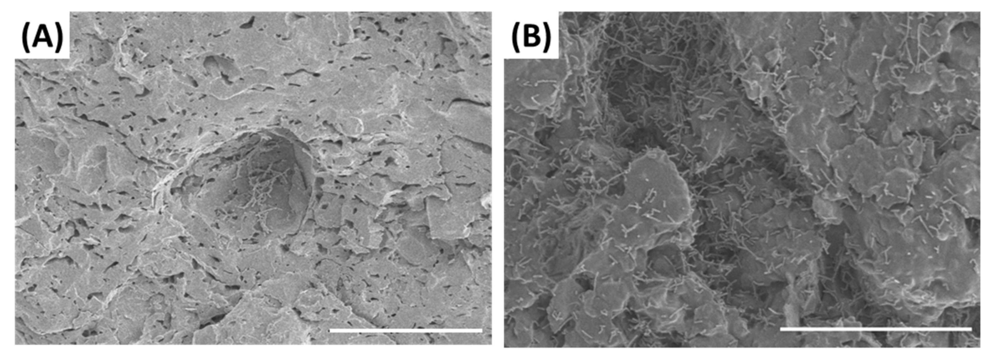 Processes 09 00658 g004 Processes 09 00658 g004