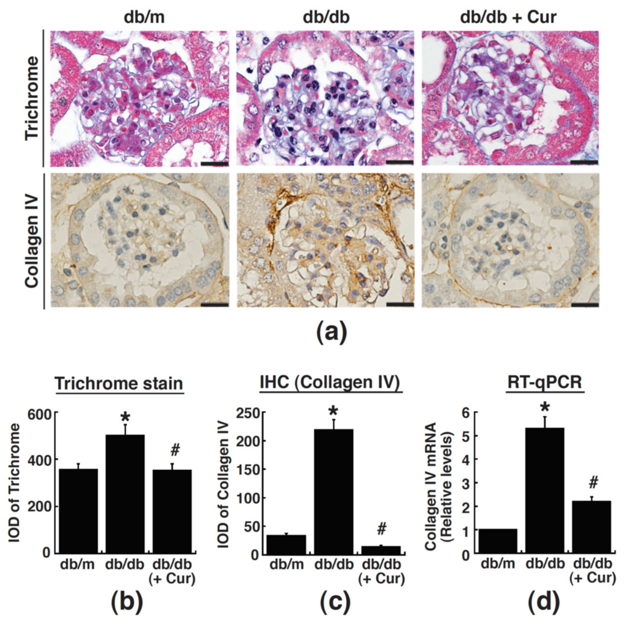 Processes 09 00694 g003