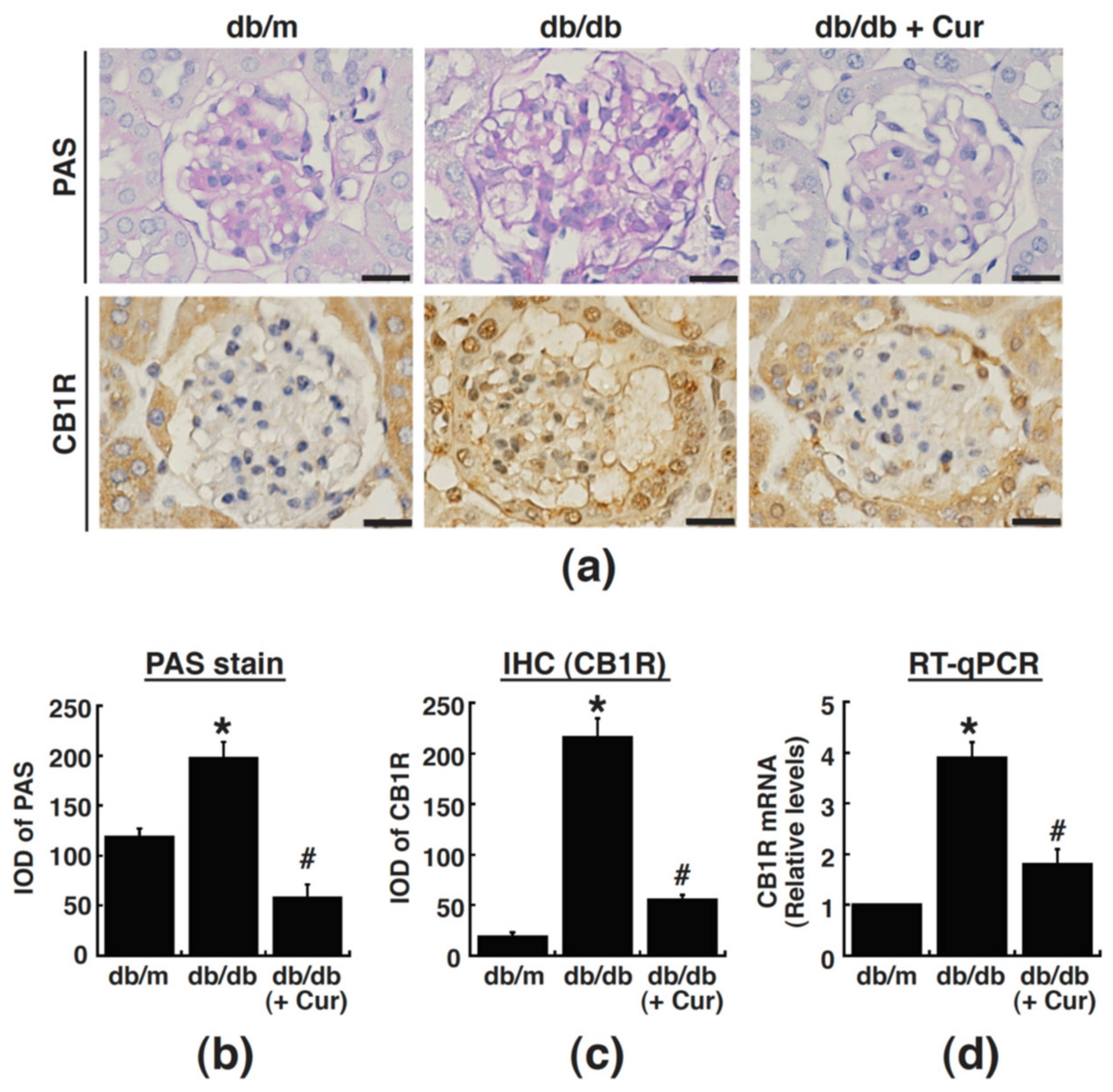Processes 09 00694 g004