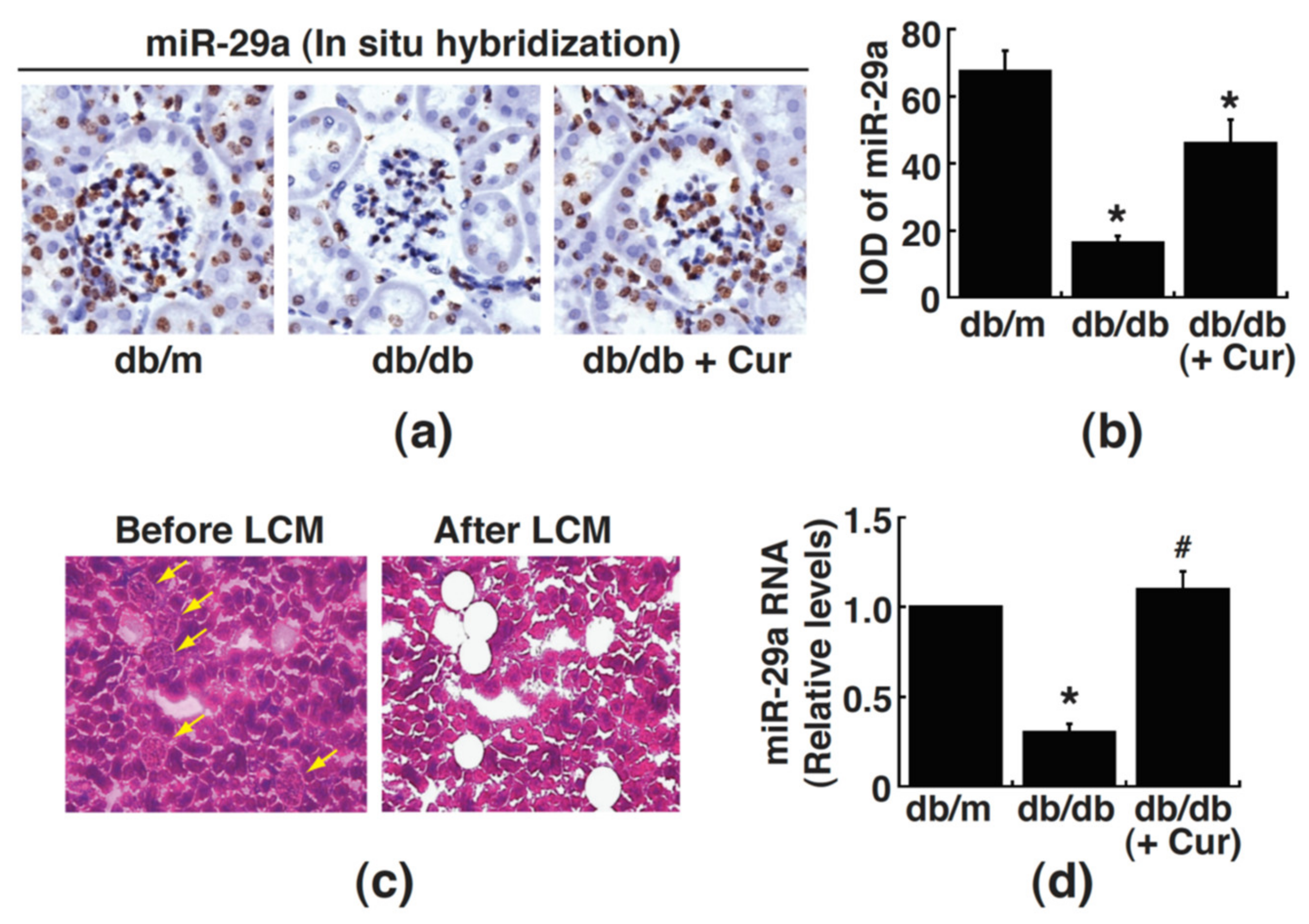 Processes 09 00694 g005